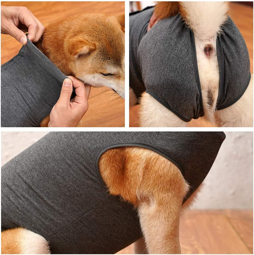 Dog Recovery Suit Abdominal Wound Protector Puppy Medical Surgical Clothes Post-Operative Vest Pet after Surgery Wear Substitute E-Collar & Cone - Grey, L