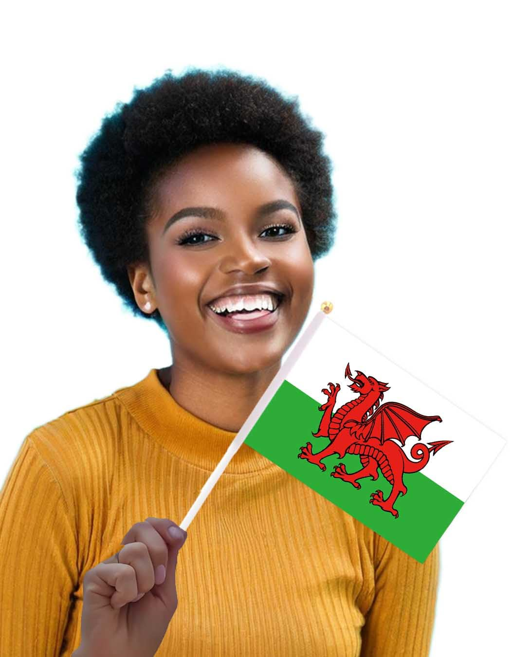 25 Packs Small Welsh Flags on Handheld Stick，Miniature Wales Dragon Flag for Outside,4X6 Inch Mini Hand Held Banner with Golden Topper,Patriotic Decorations