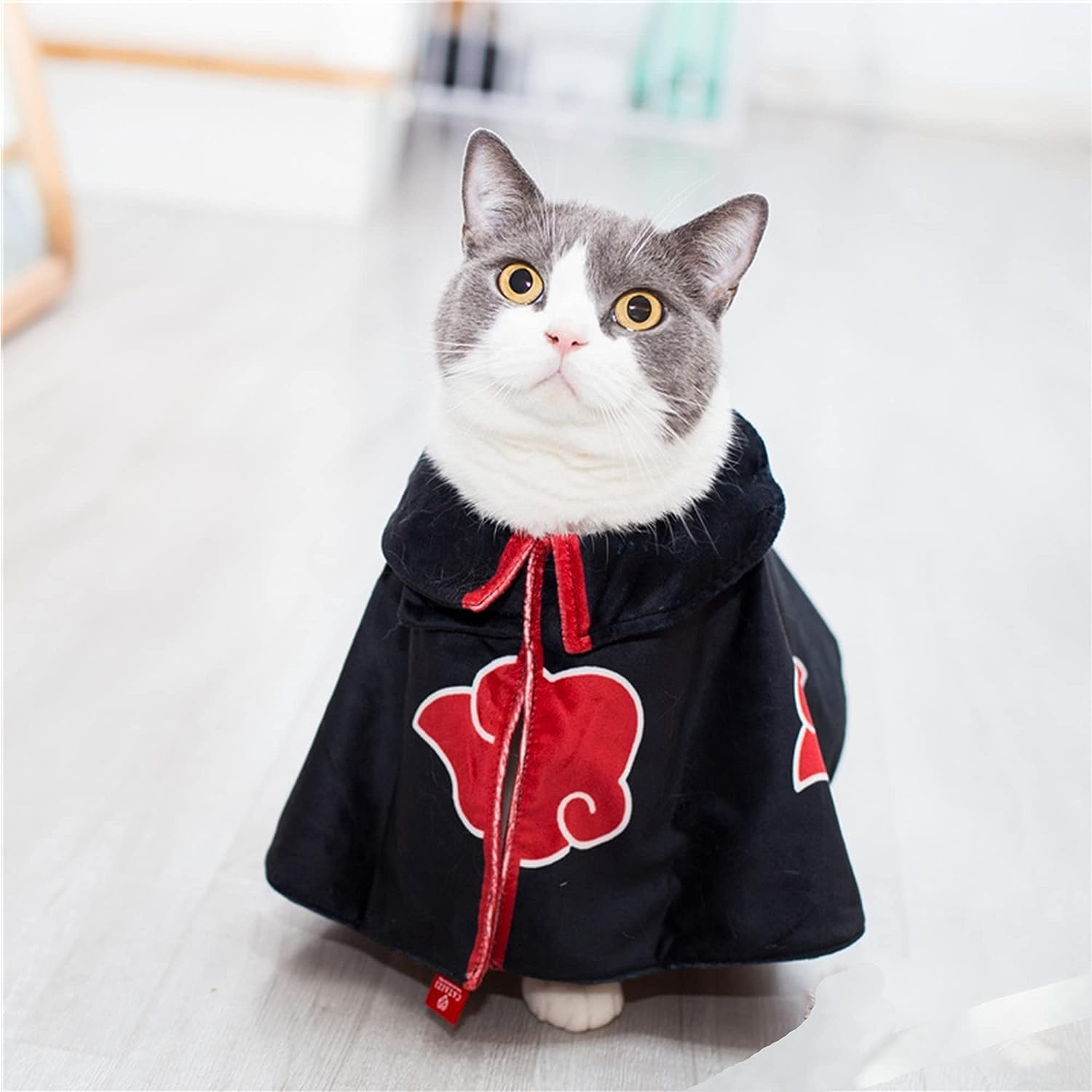 Cat Cloak Costume Anime Halloween Pet Clothes Puppy Cosplay Plush Ninja Cloak Christmas Cute Party Dog Cape Dressing up Gift(Black) image number 5
