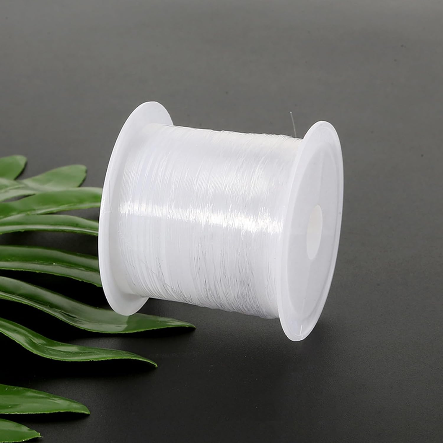 1 Roll Transparent Fishing Thread,0.25Mm 80M Fish Wire (0.2Mm/100M Transparent) image number 6