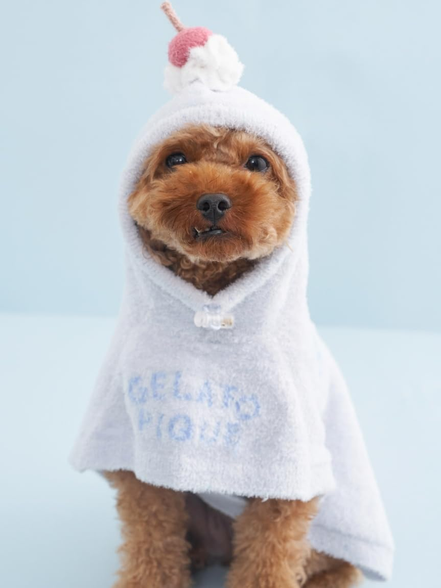 Gelato Pique Cat & Dog CAT & Dog (Birthday) Smooth Cape PAGG259137 BLU M image number 5