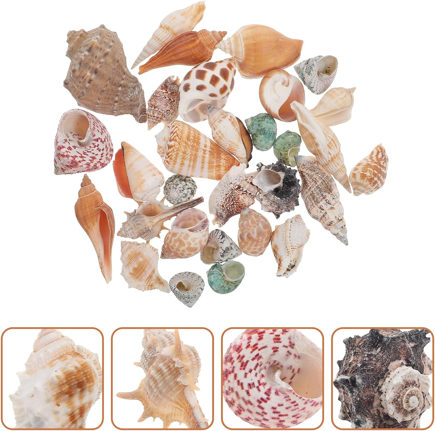 POPETPOP 1 Set Aquarium Conch Decor Hermit Crabs Shells Fish Tank Aquarium Adorns