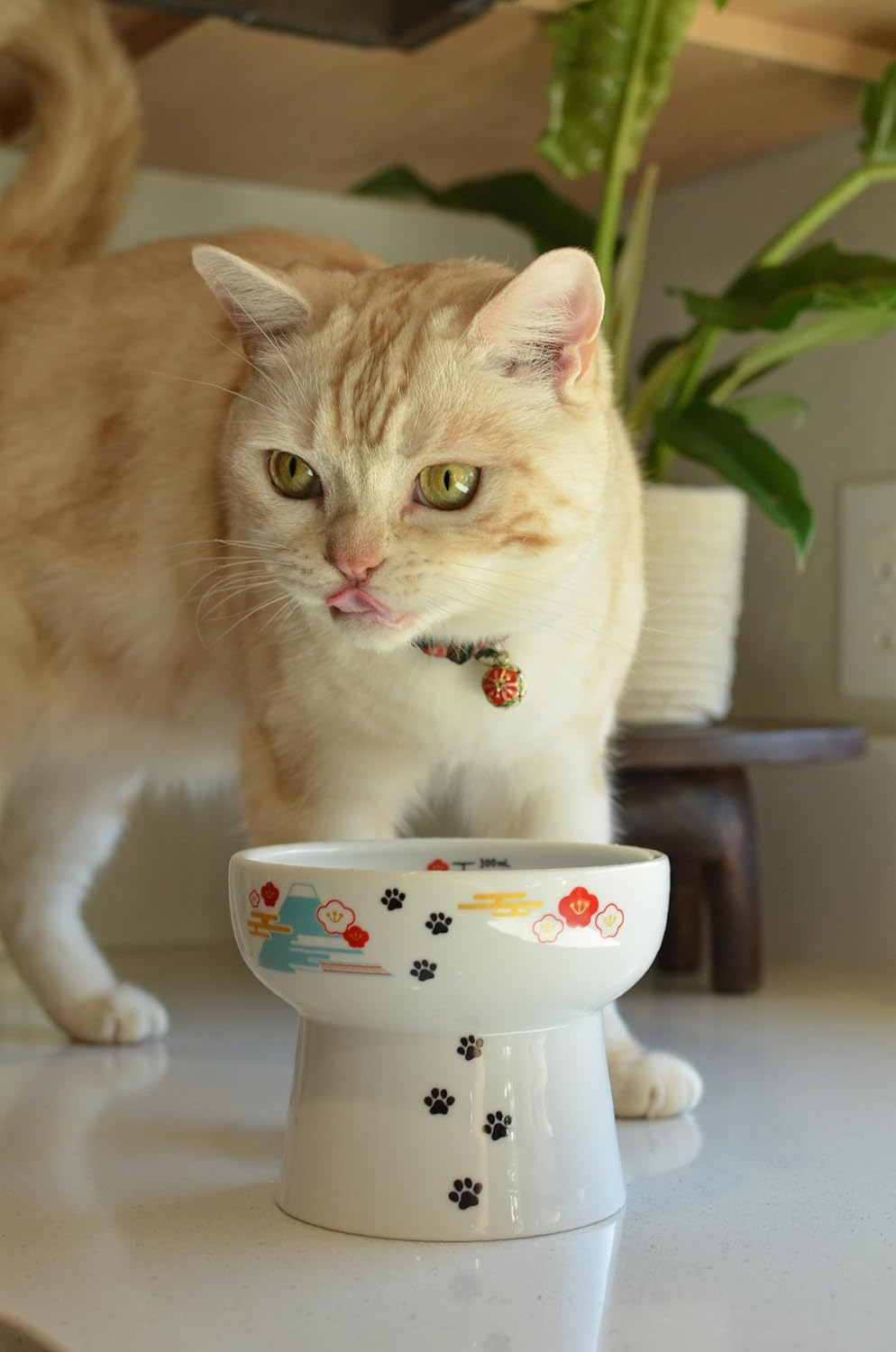 Necoichi Elevated Ceramic Cat Bowls - Raised Food and Water Dishes for Indoor Cats, Kittens, Small Pets - Whisker Friendly, Anti-Spill, 4.1" Fuji Style image number 6