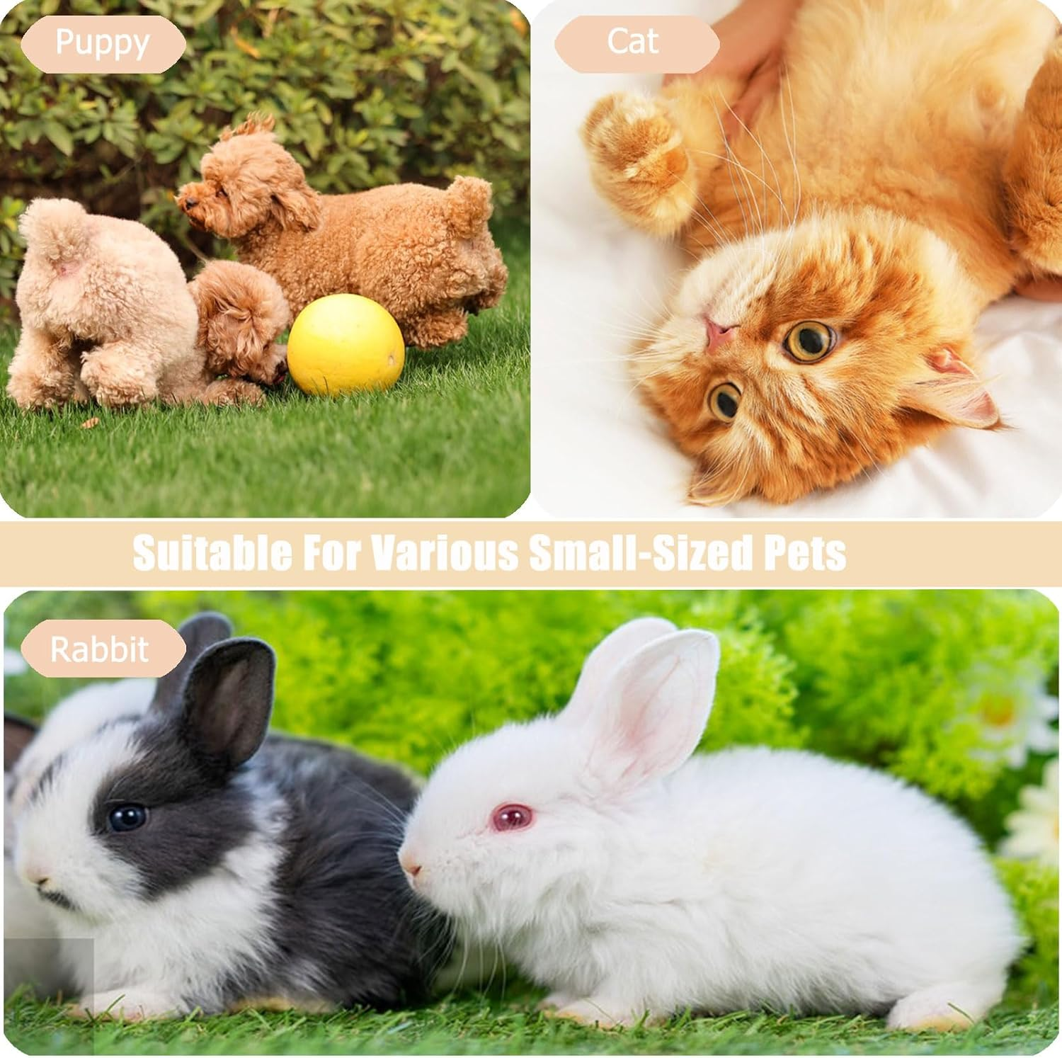 Airtag Cat Collar, Airtag Cat Collar with Bell, Cat Collar Airtag, Airtag Collar Cat Reflective, Adjustable Collar Cat, Compatible with Apple Airtag image number 5