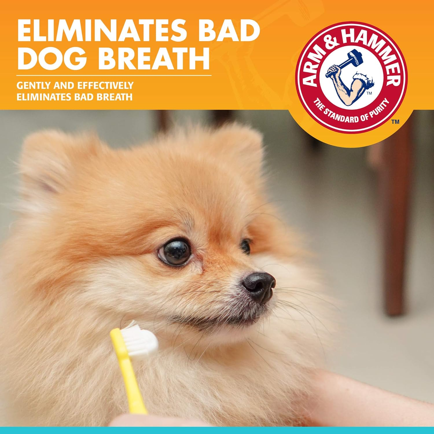 Arm & Hammer Dog Dental Care Fresh Breath Enzymatic Toothpaste for Dogs | No More Doggie Breath | Safe for Puppies, Advanced Care, Chicken Flavor