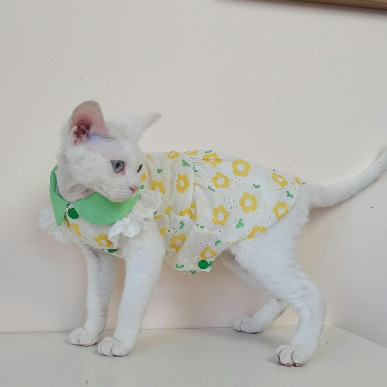 IUOUTG Hairless Cat Clothes Sphynx Soft Breathable Kitten Shirt Skirt Cute Floral Design Hairless Cat Costume Cat Vest for Male Female Cats Puppy Small Dogs image number 2