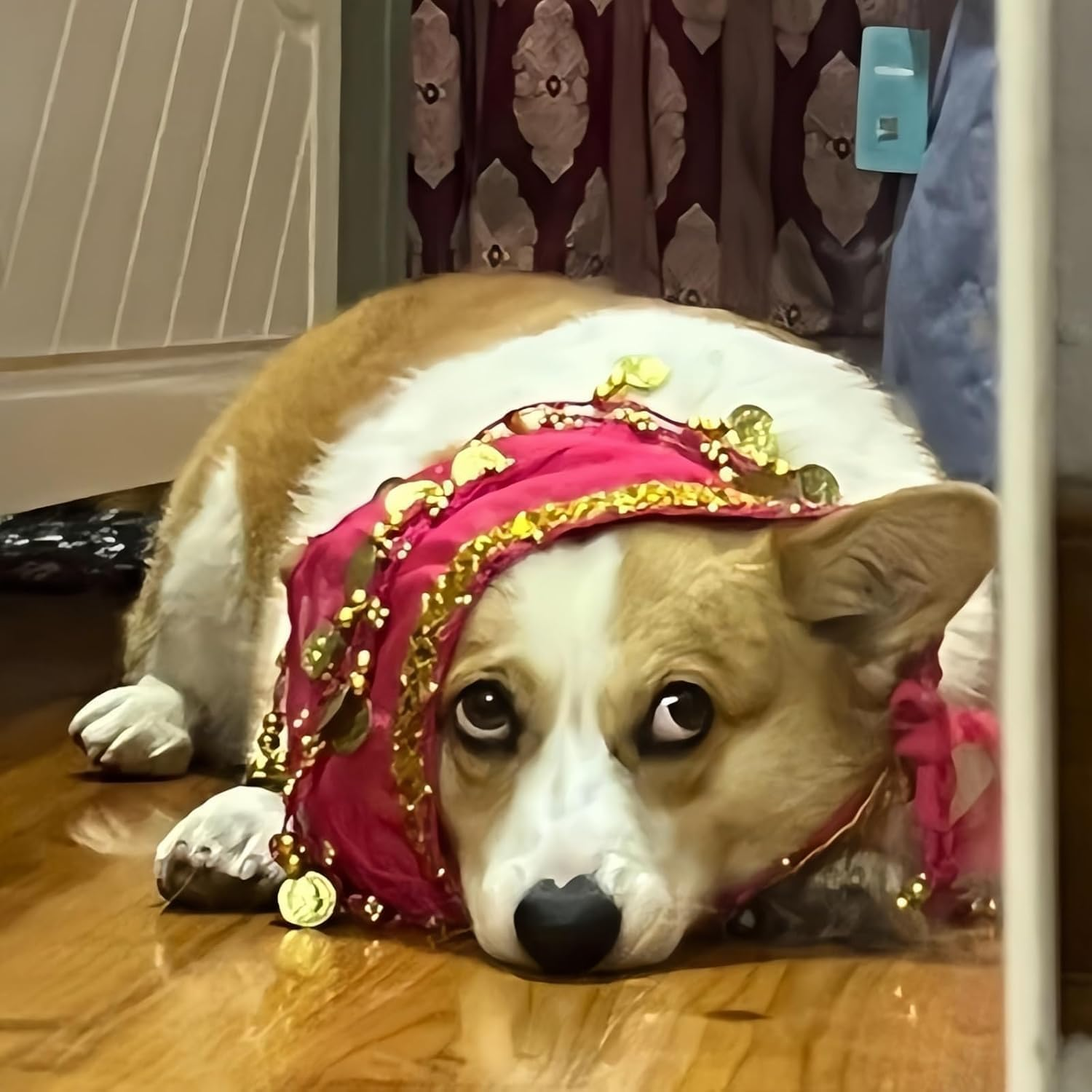 Dog Belly Dance Costume,1Pc Pet Hip Scarf Waist Chain, Dog Waist Chain Butt Curtain Cloth,Puppy Shaking Hip Dance Hip Scarf,Belly Dance Style Dog Costume image number 1