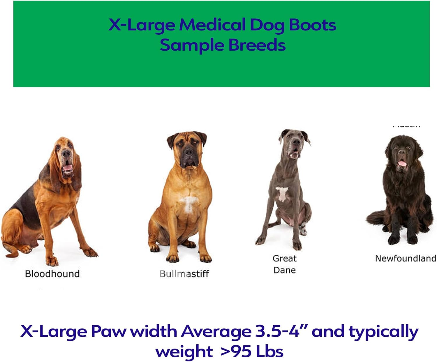 Healers Medical Dog Boots and Bandages, X-Large image number 4