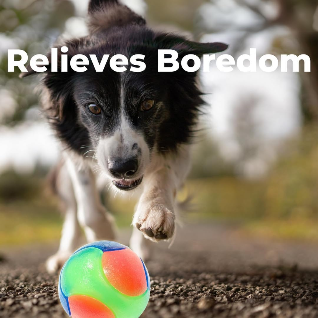 Small, Large, 5Cm/2In, 7Cm/2.8In Light-Up Cat & Dog Flashing Elastic Ball Bouncy Works in the Dark Interactive Jumping Blinking Toys for Pets (1 Pc Large Smooth Ball) image number 1