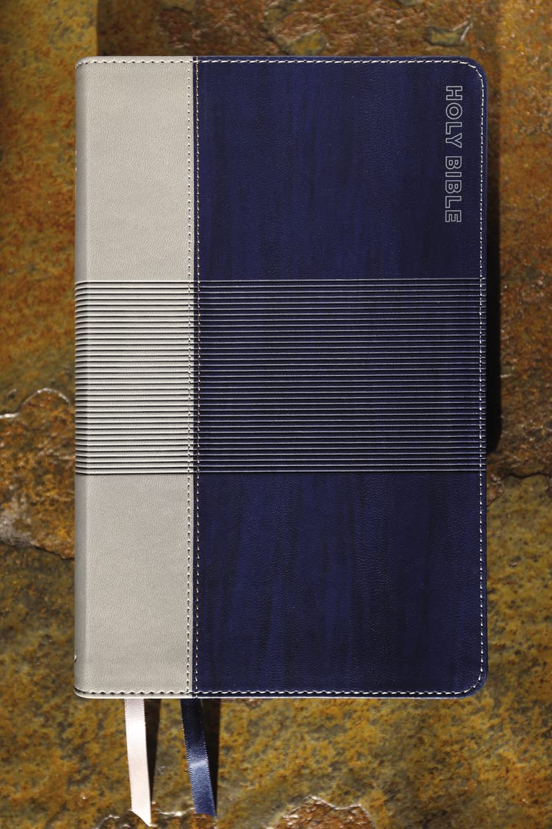 NIV Teen Study Bible Comfort Print [Blue]