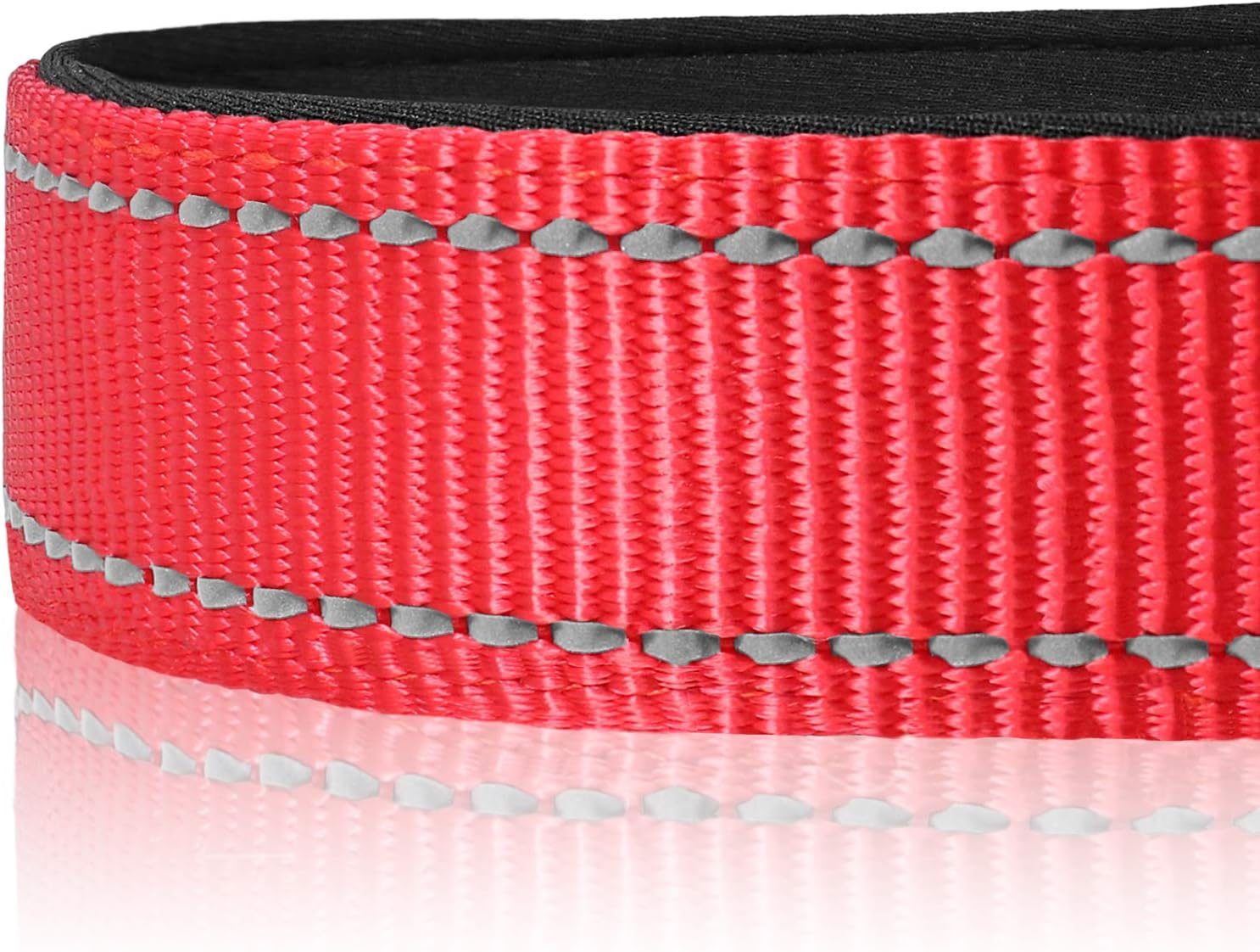Dog Collar, Reflective Padded Neoprene Pet Collar, Adjustable Nylon Collars for Small Dogs, S,Red image number 4