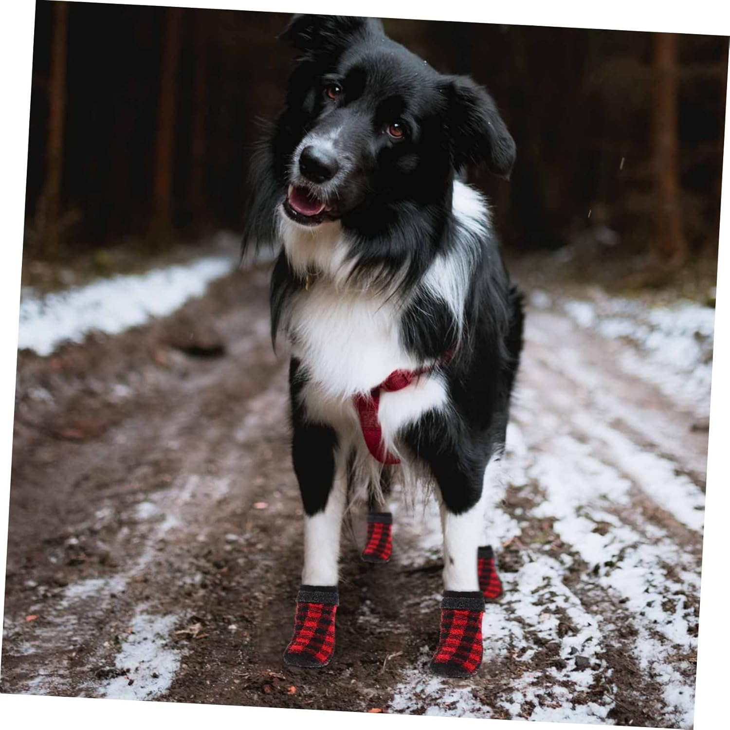 4Pcs Christmas Themed Warm Pet Socks for Dogs Non Slip Footwear for Indoor Use image number 4