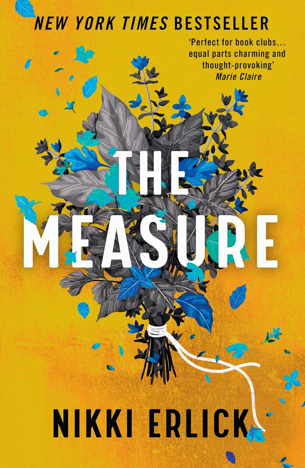 The Measure: the Instant New York Times Bestseller image number 2