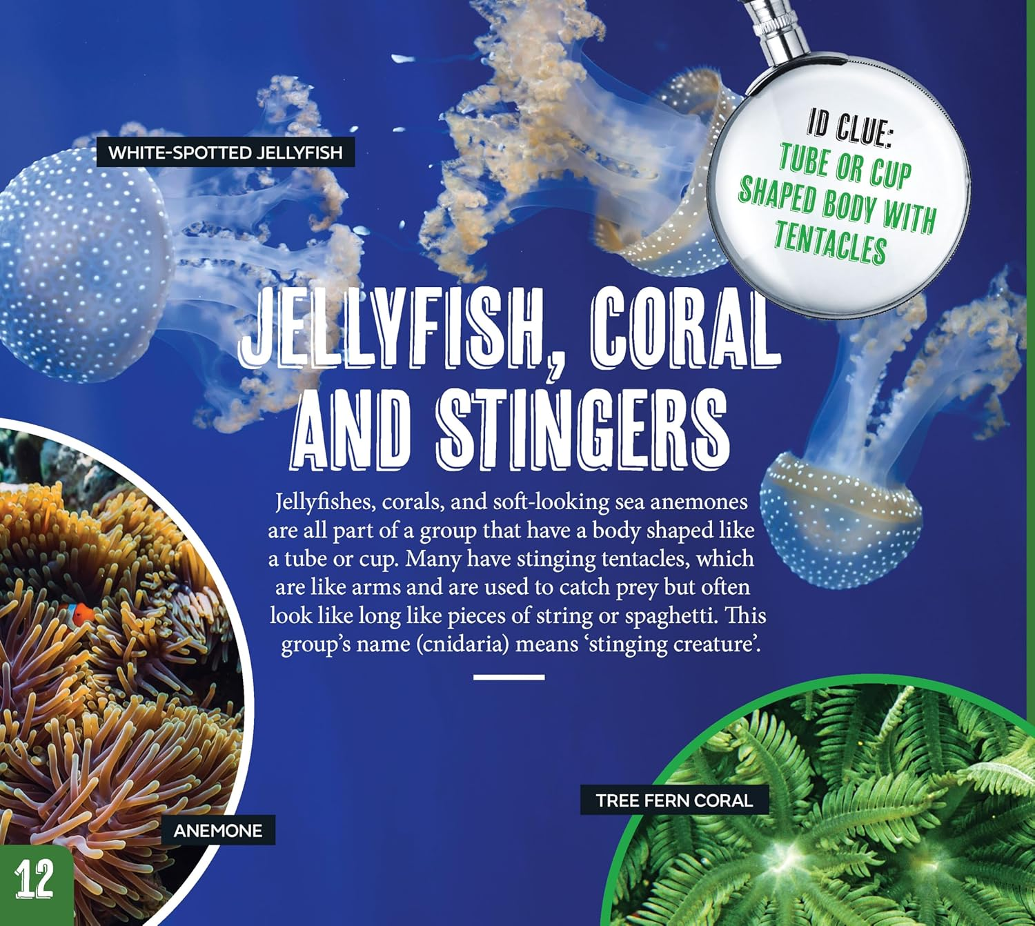 AG Discover: Minibeasts