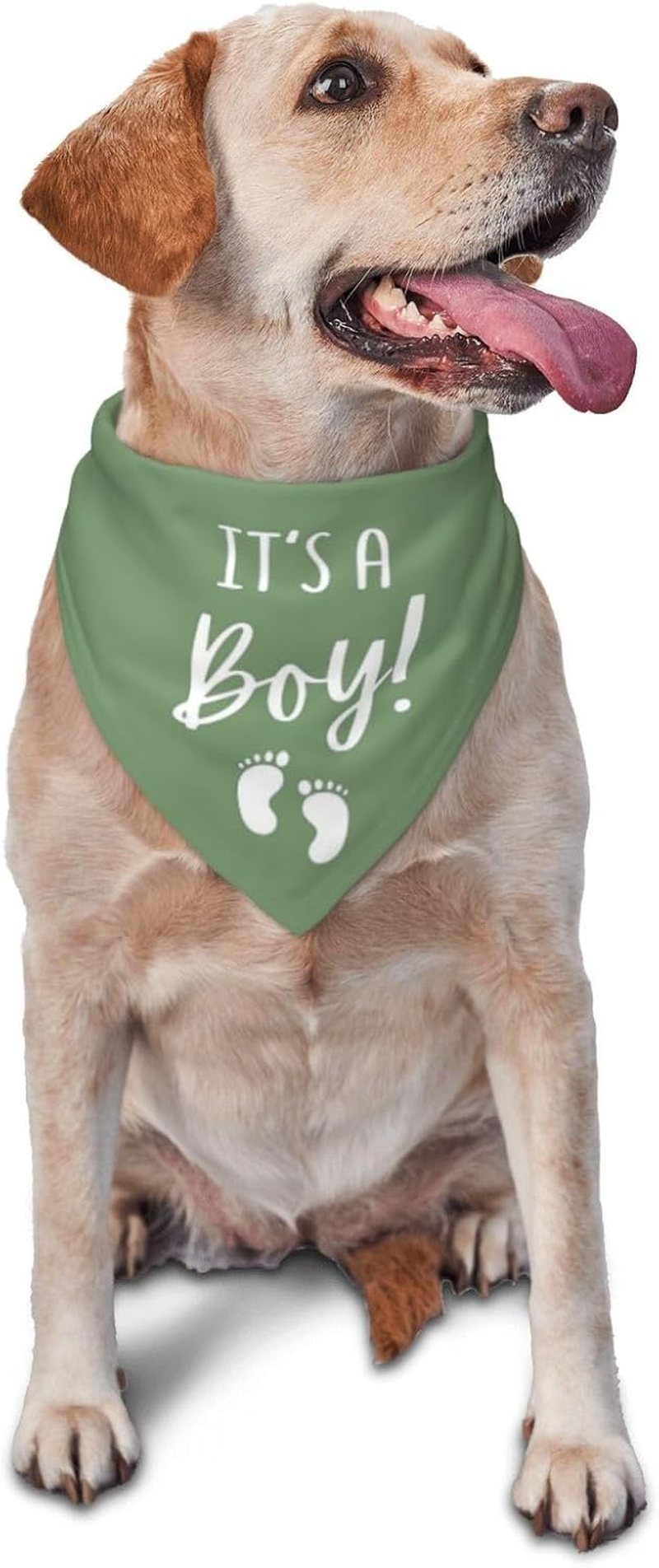 Vercosee It'S a Boy It'S a Girl Gender Reveal/Baby Announcement Dog Bandana,Engagement Bandana,Pet Dog Triangle Scarf Reversible,Baby Shower Photography Props1Pack (Blue)