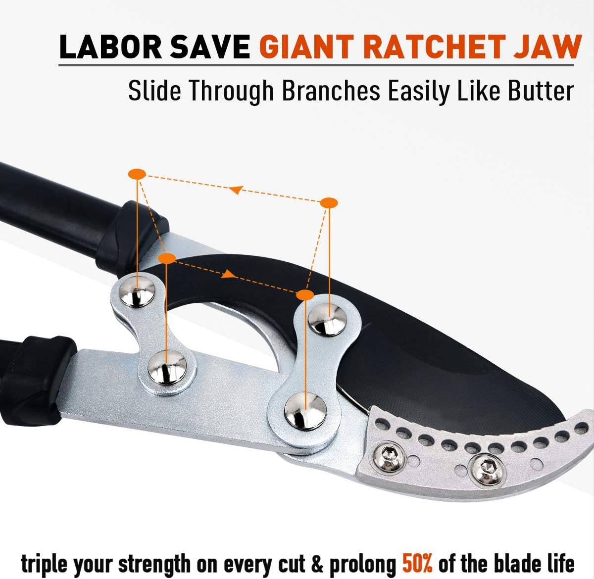 Jardineer 2" Anvil Loppers Shears - Gardening Loppers Heavy Duty with Garden Shears & Spare Blade, Effortless Pruning Tree Loppers, 30" Long-Lever Tree Trimmer Branch Cutters image number 2