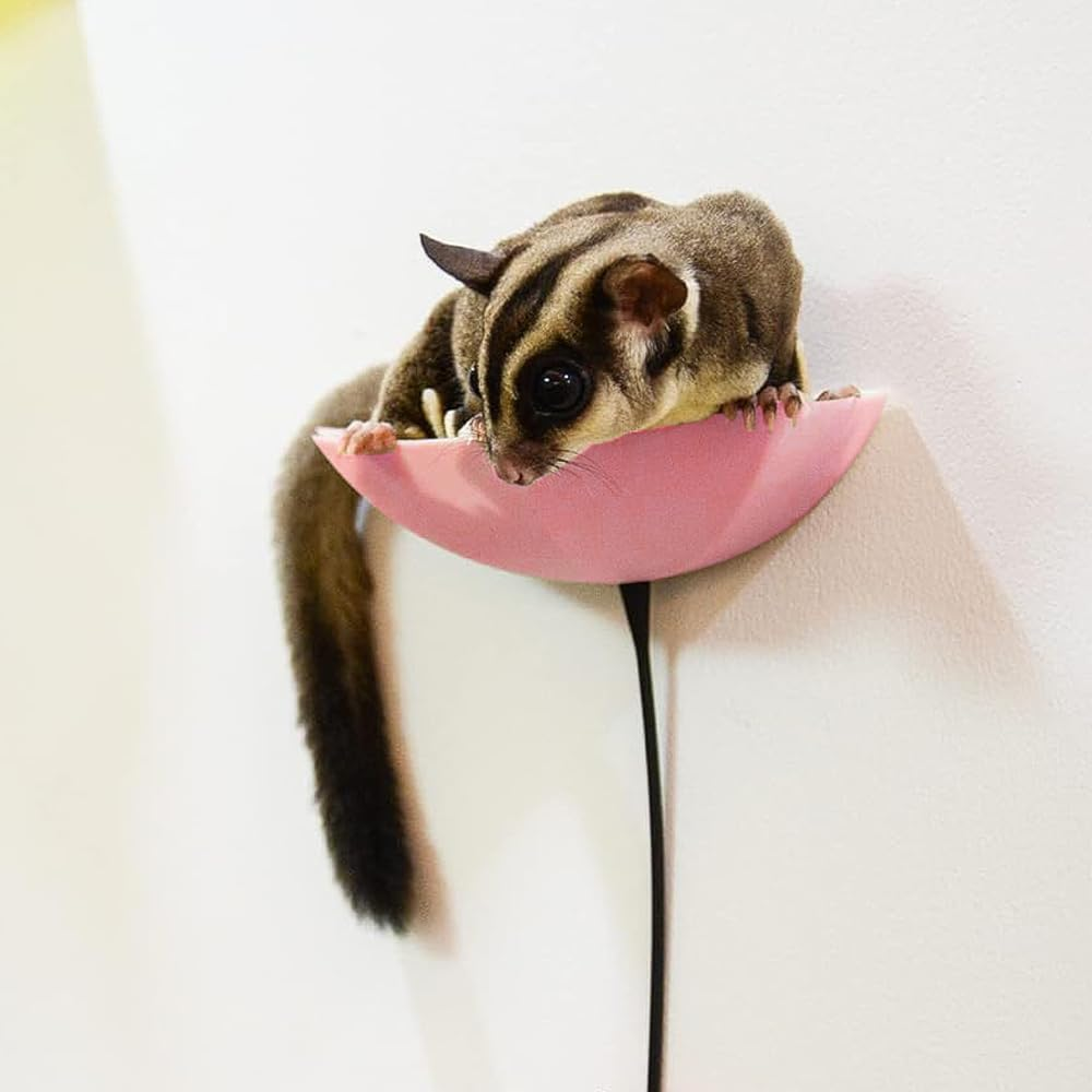 3 Pack Sugar Glider Platform with C-Clips Climbing Chain for Pet Bird Sugar R Squirrel Toyglide (Pink+Red+Yellow, 13.5+6 * 11) image number 1