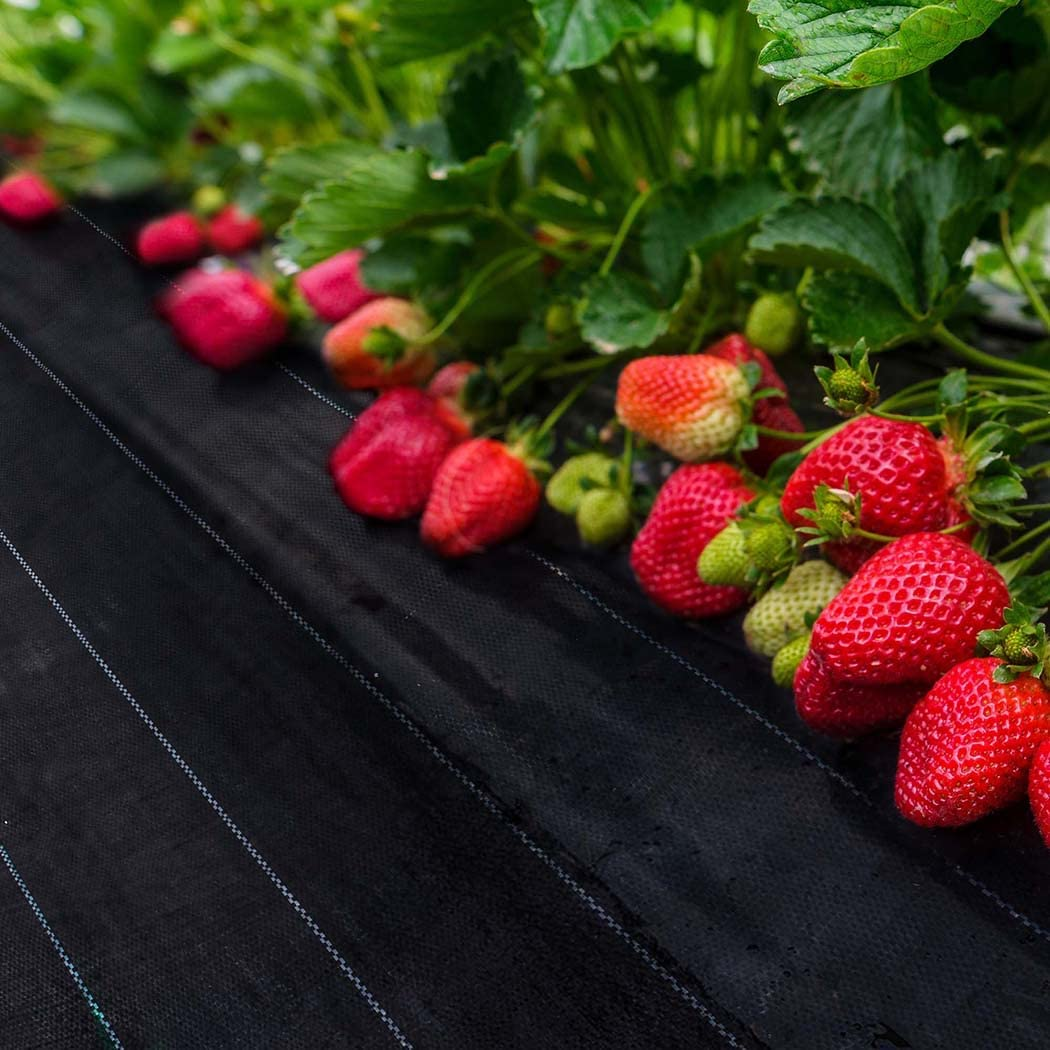 Weed Mat 1.83Mx100M Plant Control Weedmat Pebbles Gravel Woven Fabric image number 4