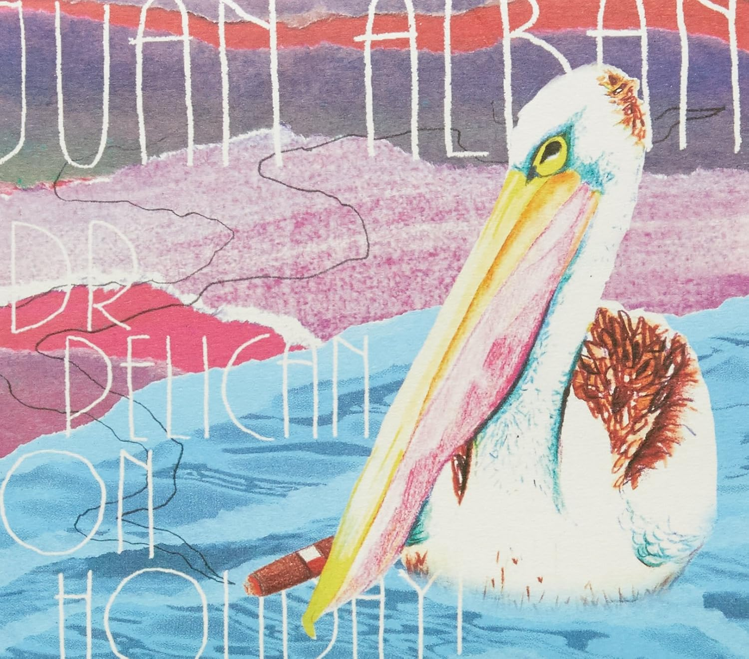 Dr Pelican on Holiday!