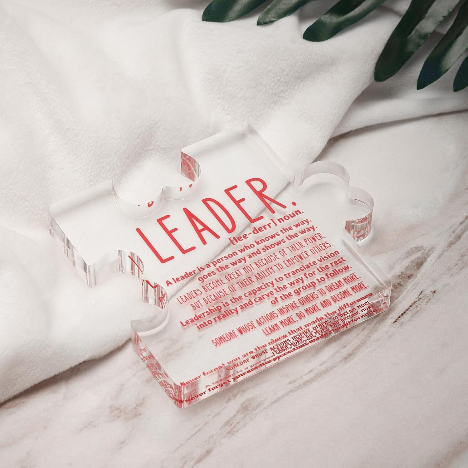 Leader Gifts Appreciation Leader Boss Mentor Supervisor PM Retirement Leaving Coworker Bosses Day Promotion Celebration Birthday Leader Definition Decorative Desk Sign image number 5