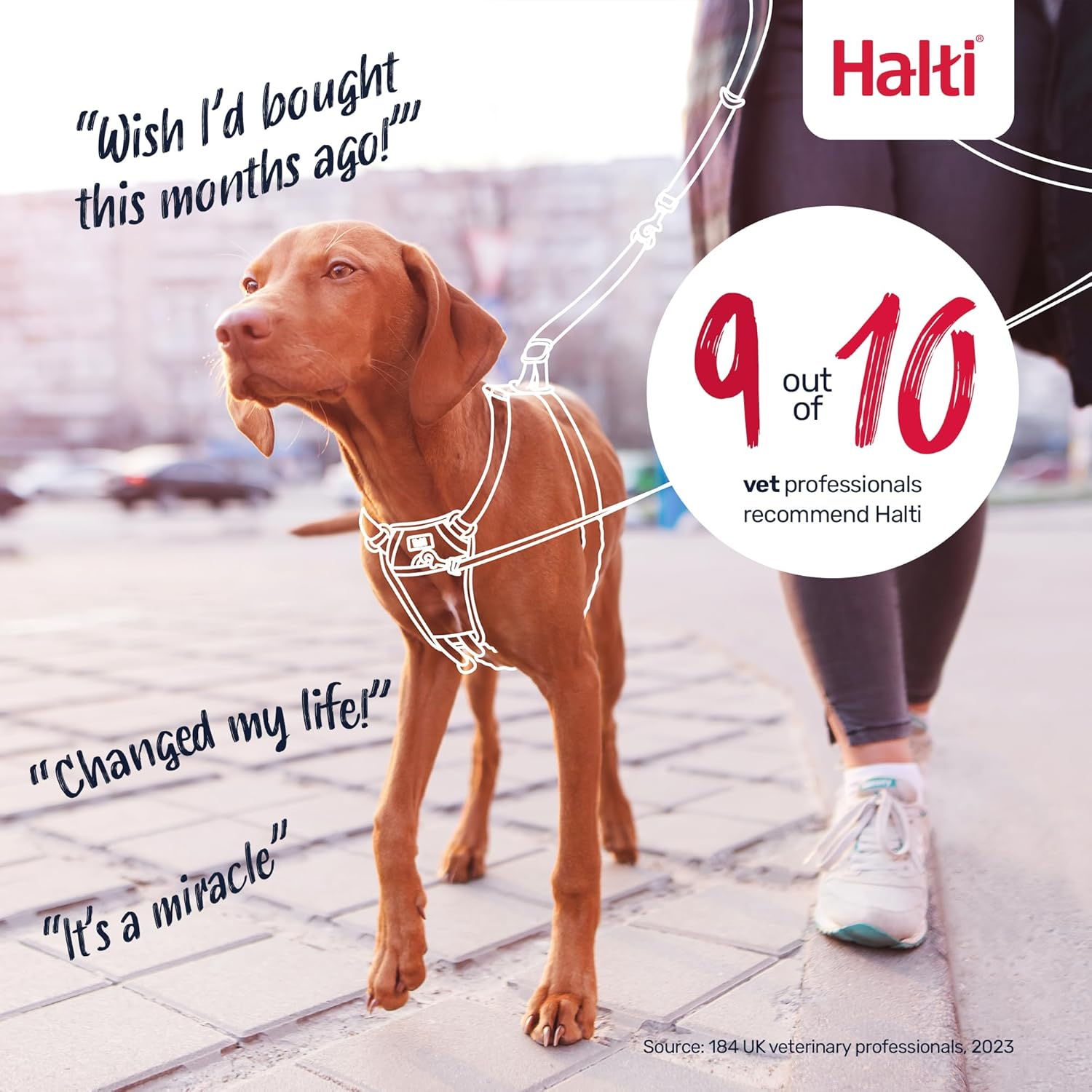 HALTI No Pull Anti-Pull Harness - Prevents Your Dog from Pulling on the Lead, Padded Chest and Leg Strap, Reflective Strap Material, Easy Adjustment and Use (Size M, Walnut Brown) image number 2