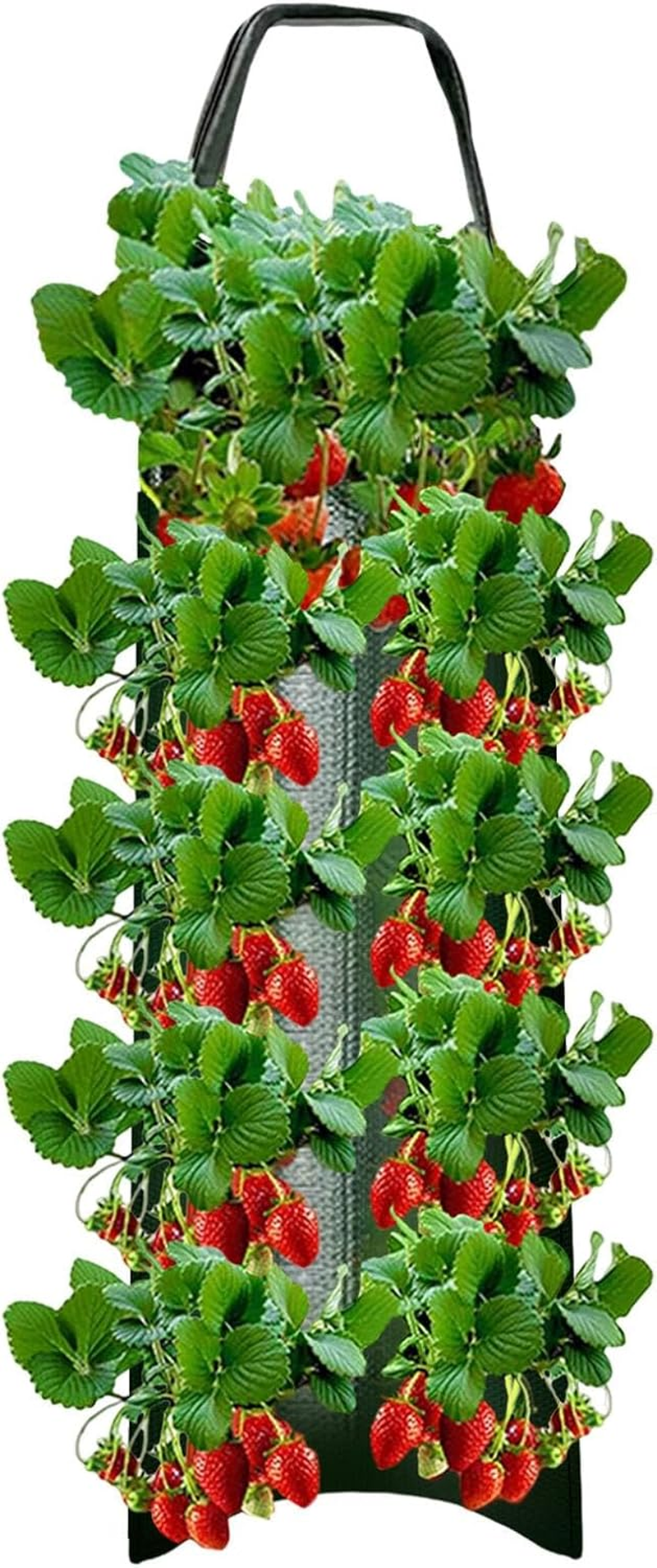 Tomato Planter Bag - Hangable Aeration Pouch with 8 Holes for Vegetables Growing - Harvesting Vegetable Bags for Tomatoes, Roses, Carrots, Potatoes, Strawberries image number 2