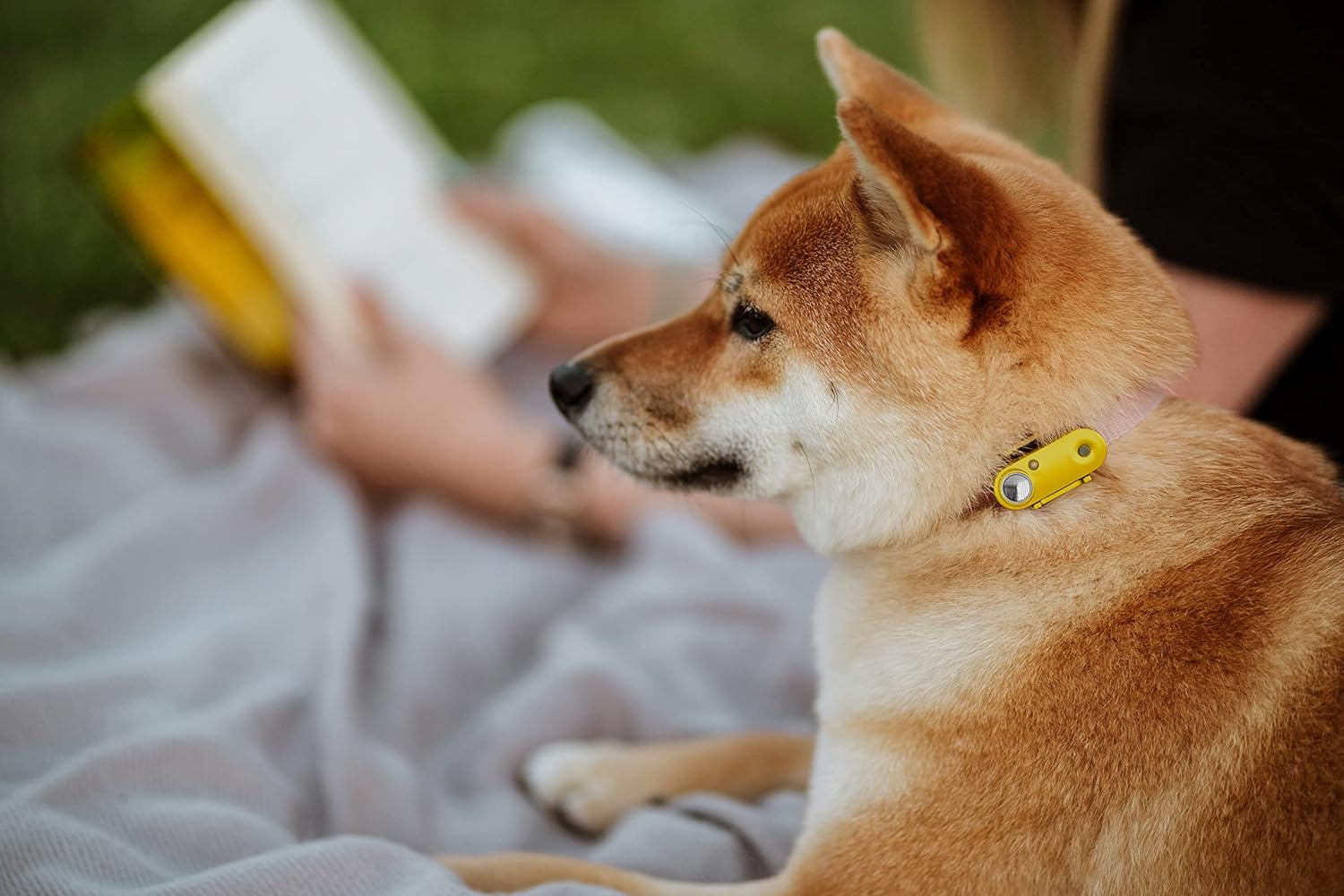 Tickless Mini Dog - Chemical Free Natural Ultrasonic Flea and Tick Repellent for Dogs - Marigold image number 4