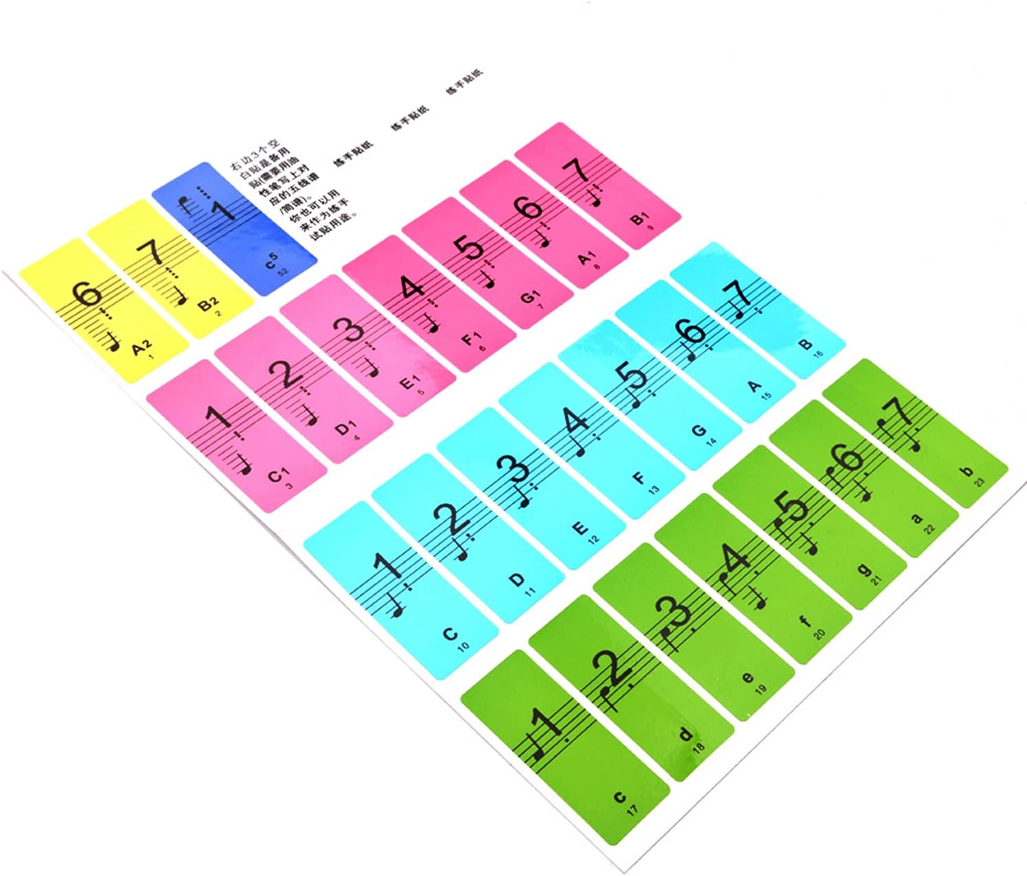 RAYWE Piano Keyboard Keys Stickers for Beginners for 88/61/54 Keys Piano image number 6