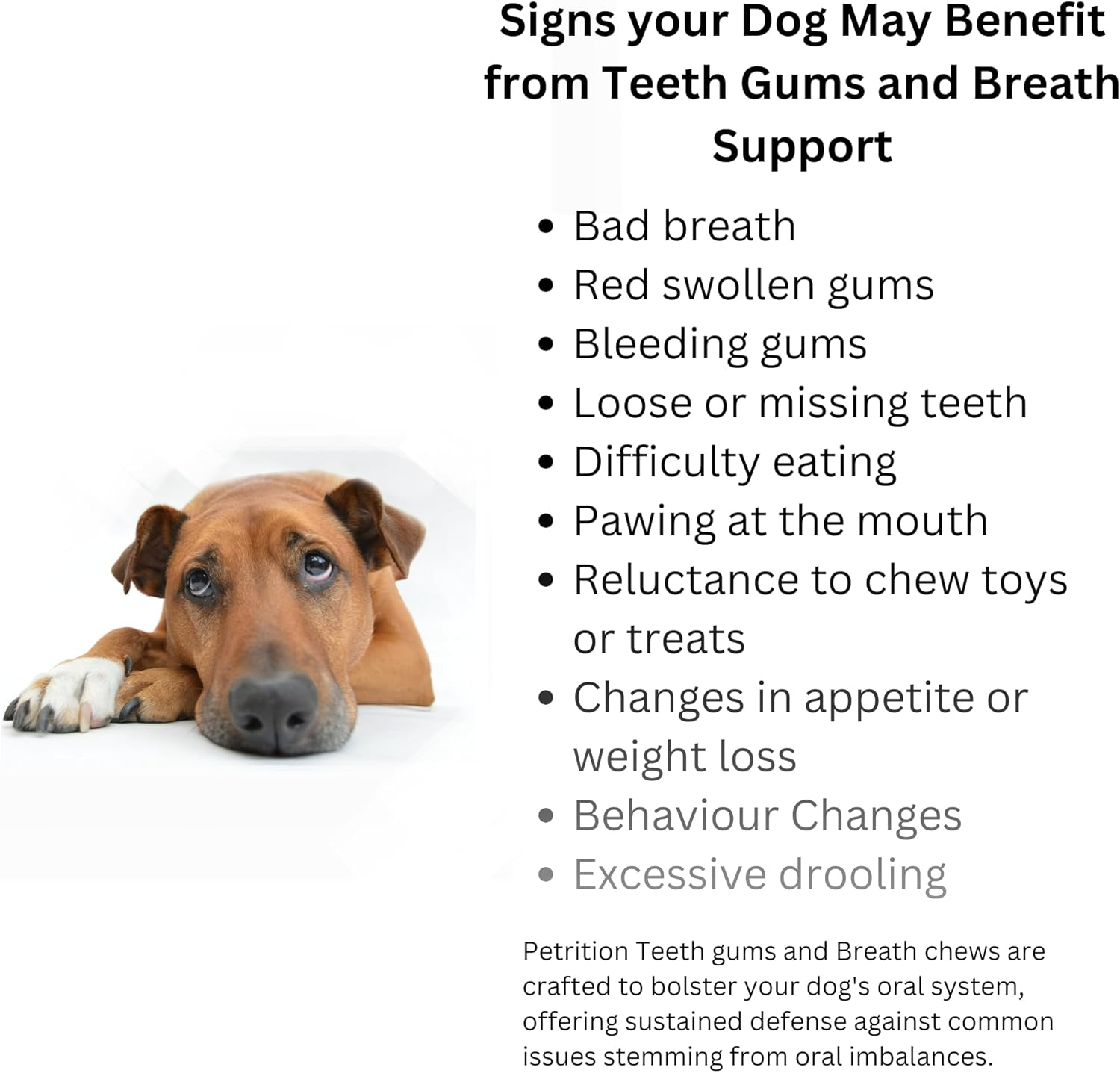 Petrition Teeth Gums Breath Support - 120 Chews Chicken Flavour image number 4