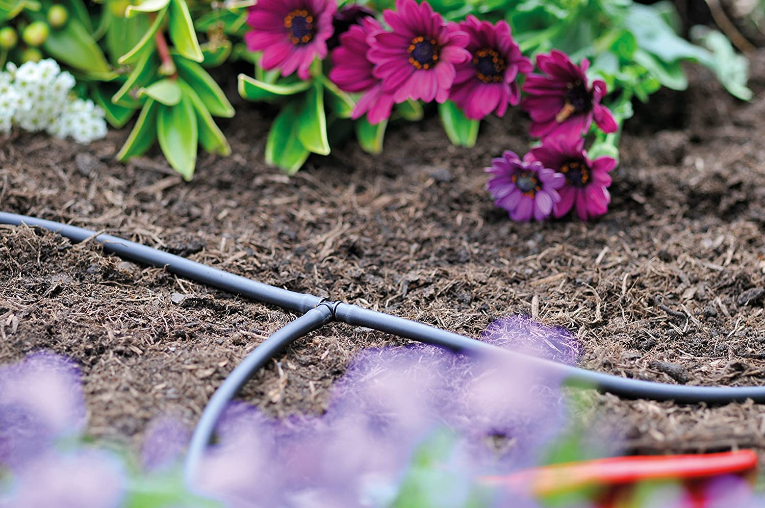 Hozelock T Piece 4 Mm Compatibility Connectors 10 Pieces Pack image number 3