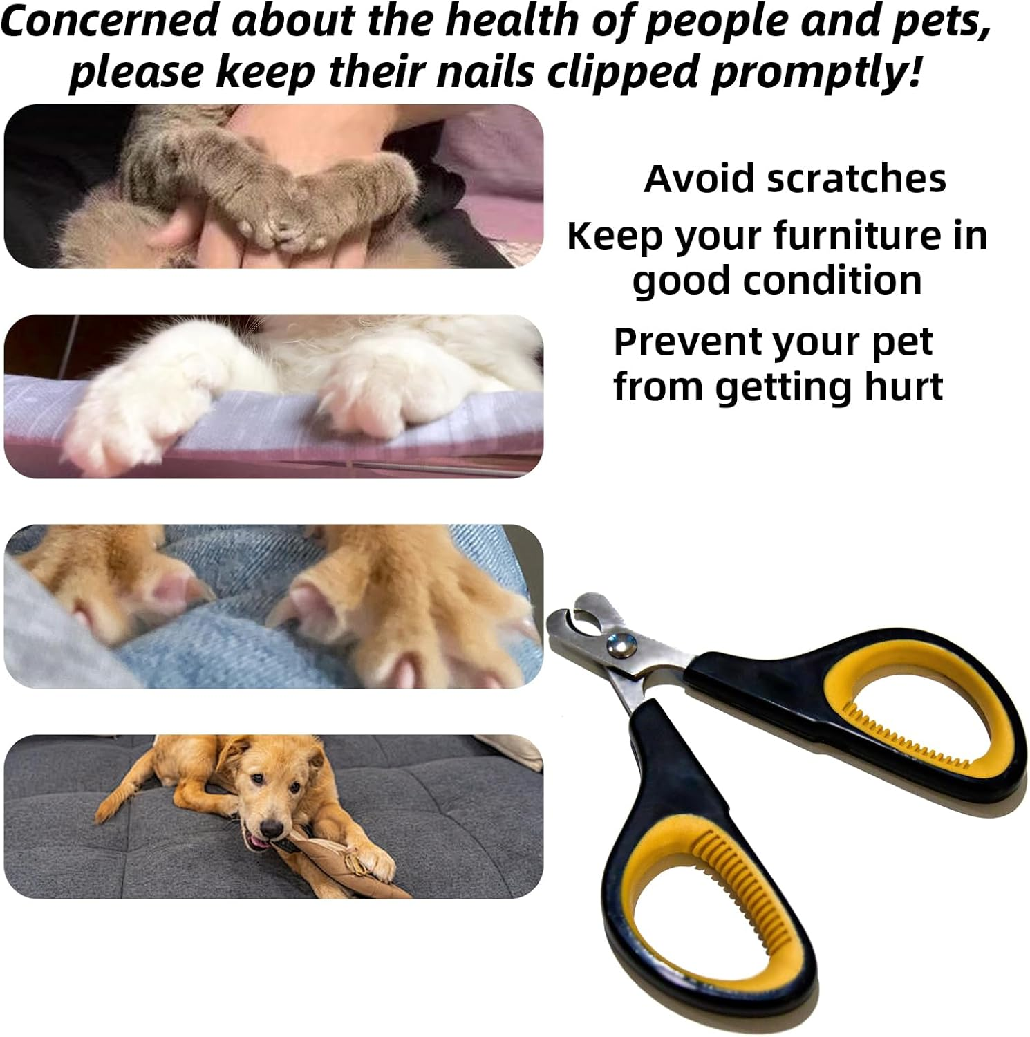 Luojinluoda Cat Nail Clippers, Cat Claw Clippers & Cat Nail Cutters - Safe Small Dog Nail Clippers, Pet Nail Clippers for Puppies, Kittens, Birds, Rabbits, Hamsters, Ferrets, Hedgehogs & Small Animals image number 1