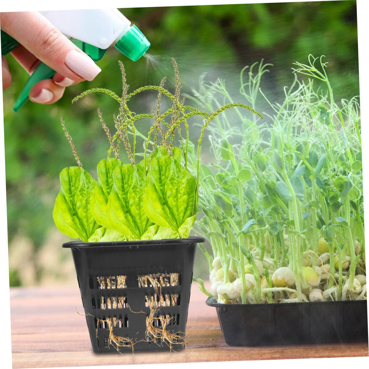 ROMISBABA 10Pcs Hydroponic Mesh Planting Cups Reusable Net Pots for Soil-Less Cultivation for Vegetables and Indoor Gardening and Ventilated Design