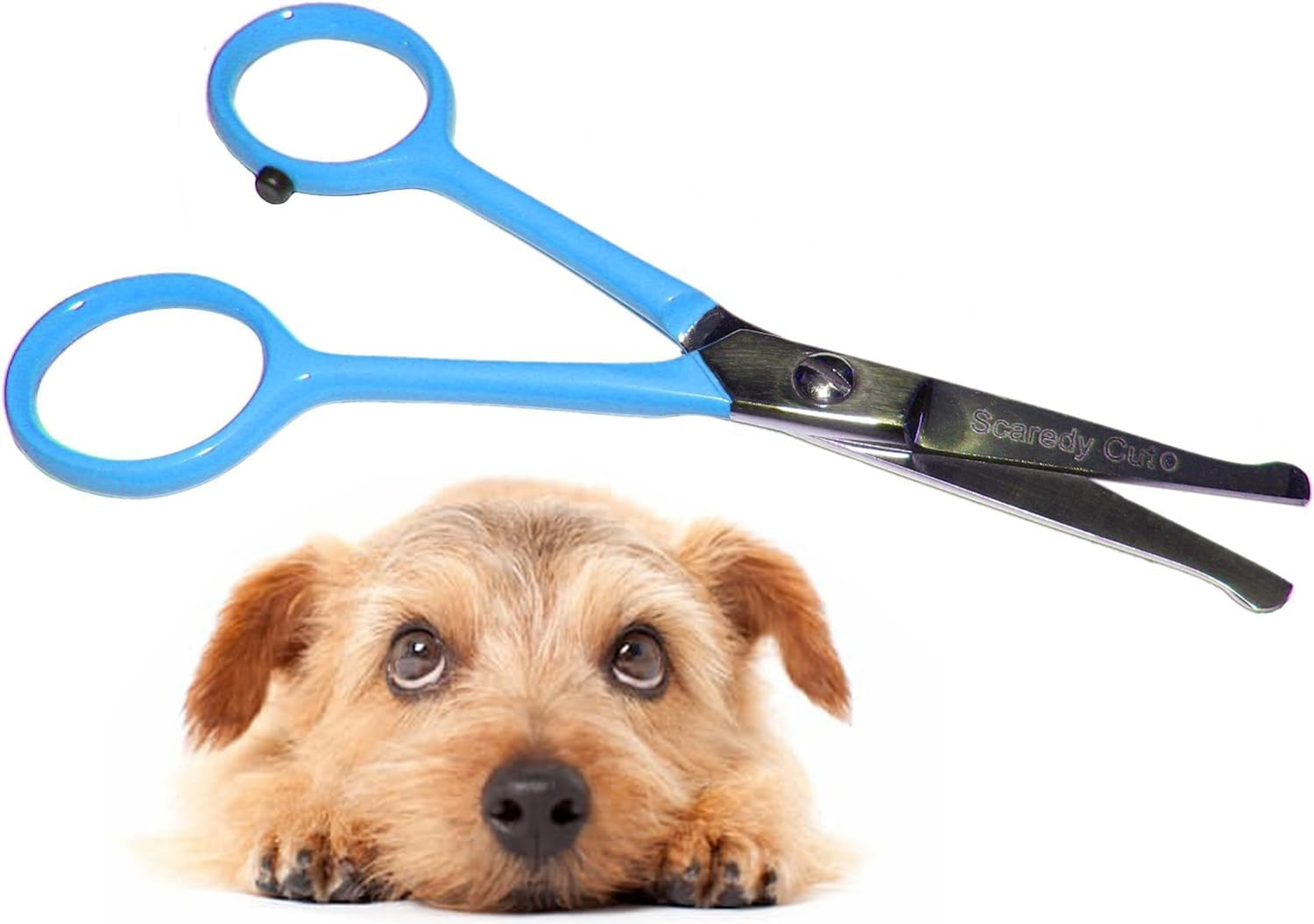 Tiny Trim - Ball-Tipped Small Pet Grooming Scissor - 4.5" Ear, Nose, Face, Paw - for Cats, Dogs, Pets &ndash; Pink