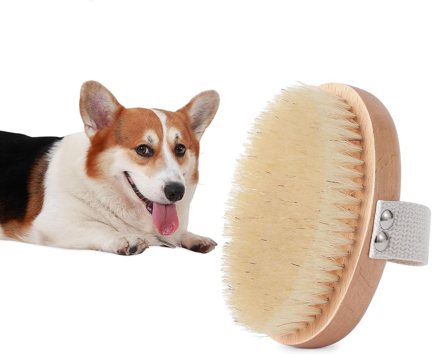 Limcryspp 1 Soft Bristle Pet Brush, Gentle Grooming, Smooth Coat for Dogs, Cats, and Puppies with Short Fur, Ideal for Daily Grooming image number 4