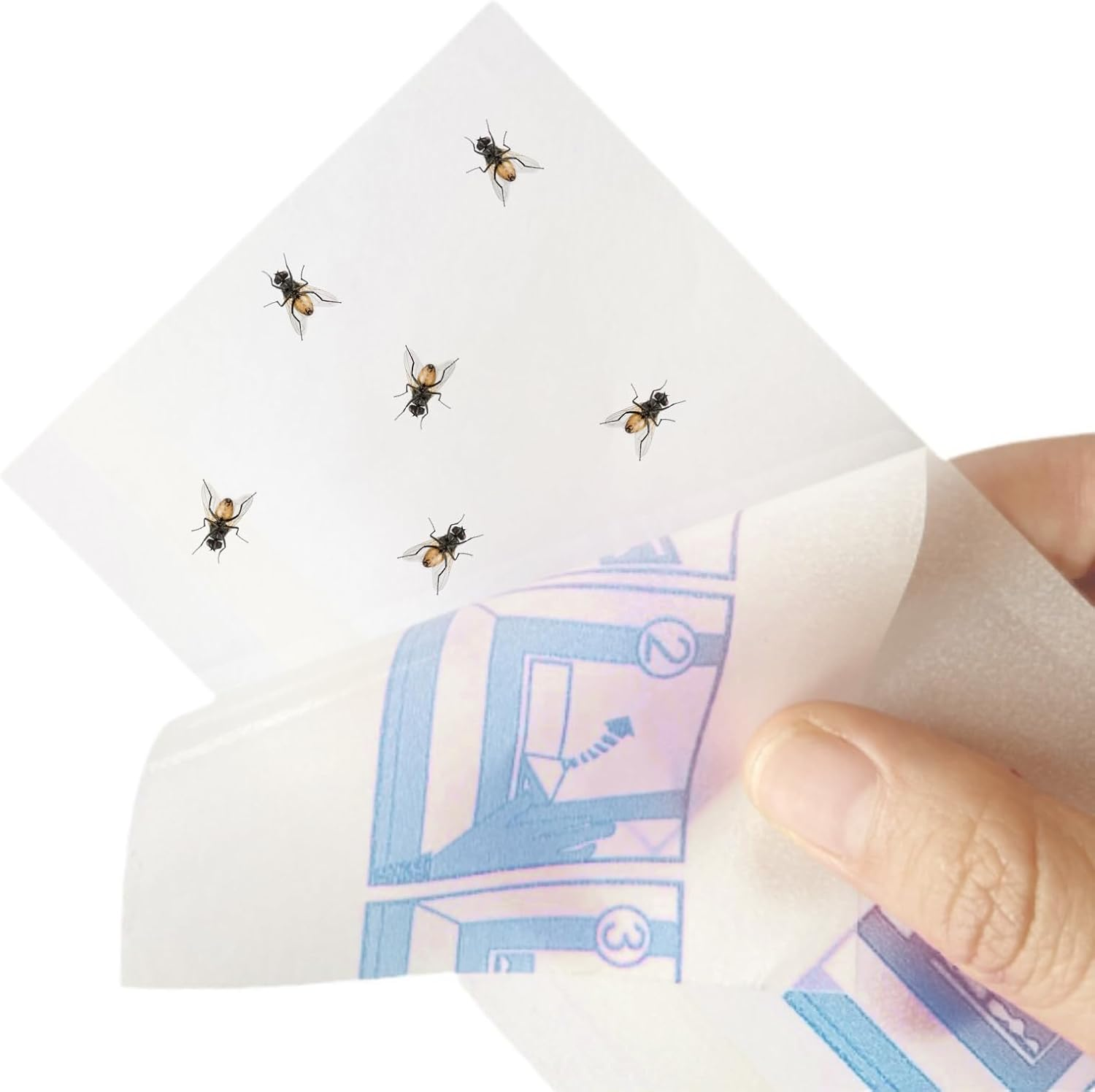 30Pcs Window Fly Traps Transparent Double-Sided Fly Stickers Small Flying Insects Fly Traps Sticky Insect Boards Suitable for Indoor Houseflies Mosquitoes and Flying Mosquitoes image number 1