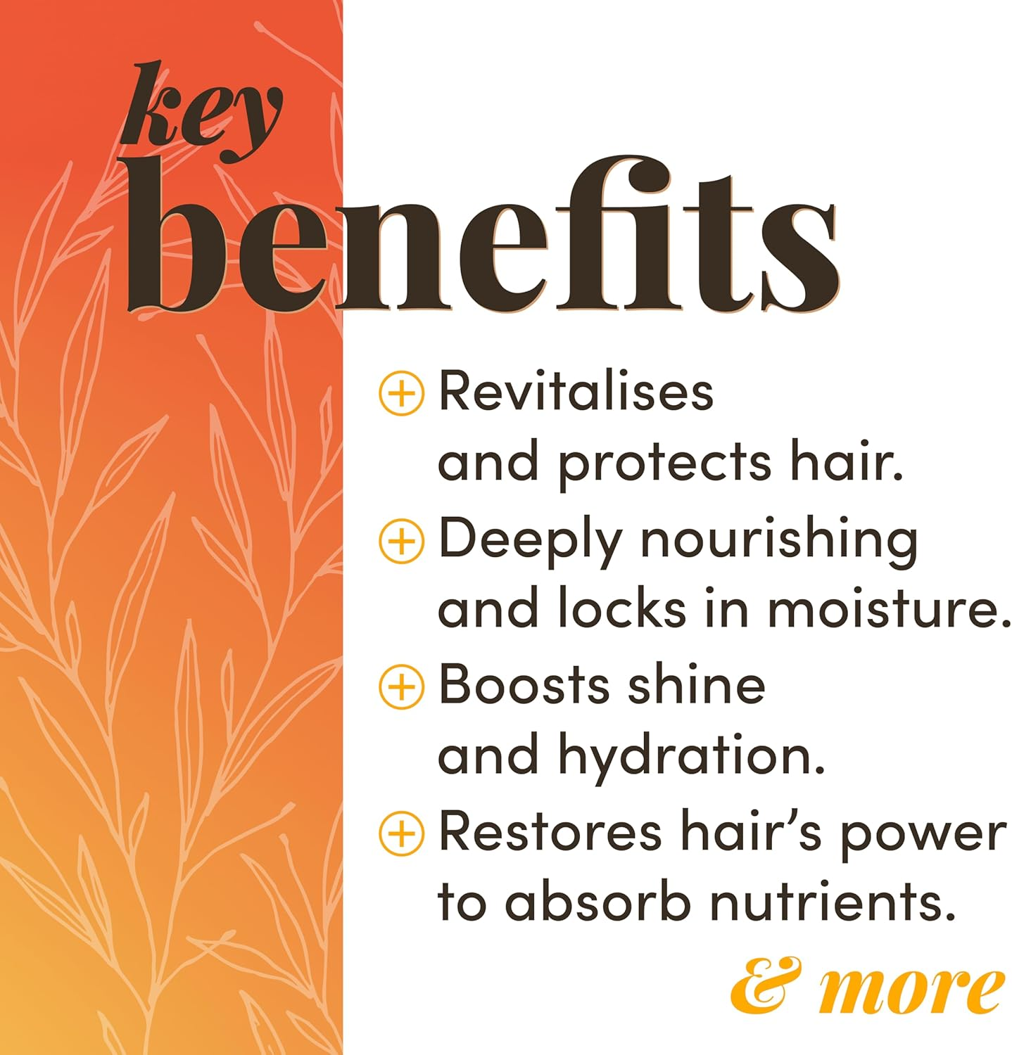 Best Life Deep-Conditioning, Strength, and Repair Hair Mask with Argan Oil, Shea Butter & 9 More Botanicals for Achieving Stronger, Healthier, and More Radiant Hair(200Ml) image number 5