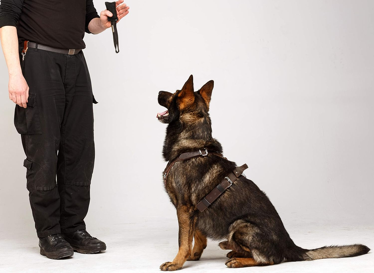 Dingo Gear Elite Dog Harness Hadmade of Leather, Durable, Strong, Dark Brown, M image number 4