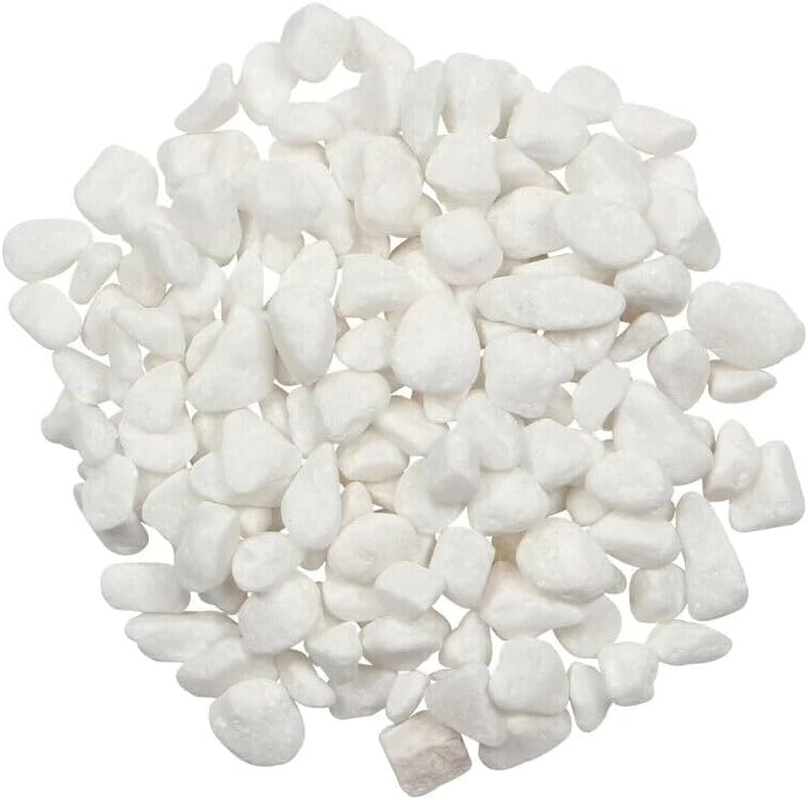 Leona Co 750G White Gravel, 1-3Cm White Pebbles for Indoor Plants. White Stones for Succulents, Planters, Vase and Outdoor Garden Landscaping image number 1