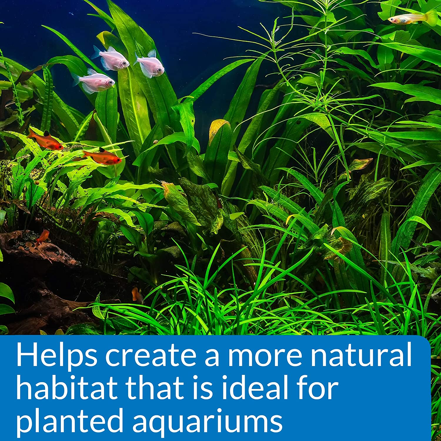 API GH and KH Test Kit, image number 2