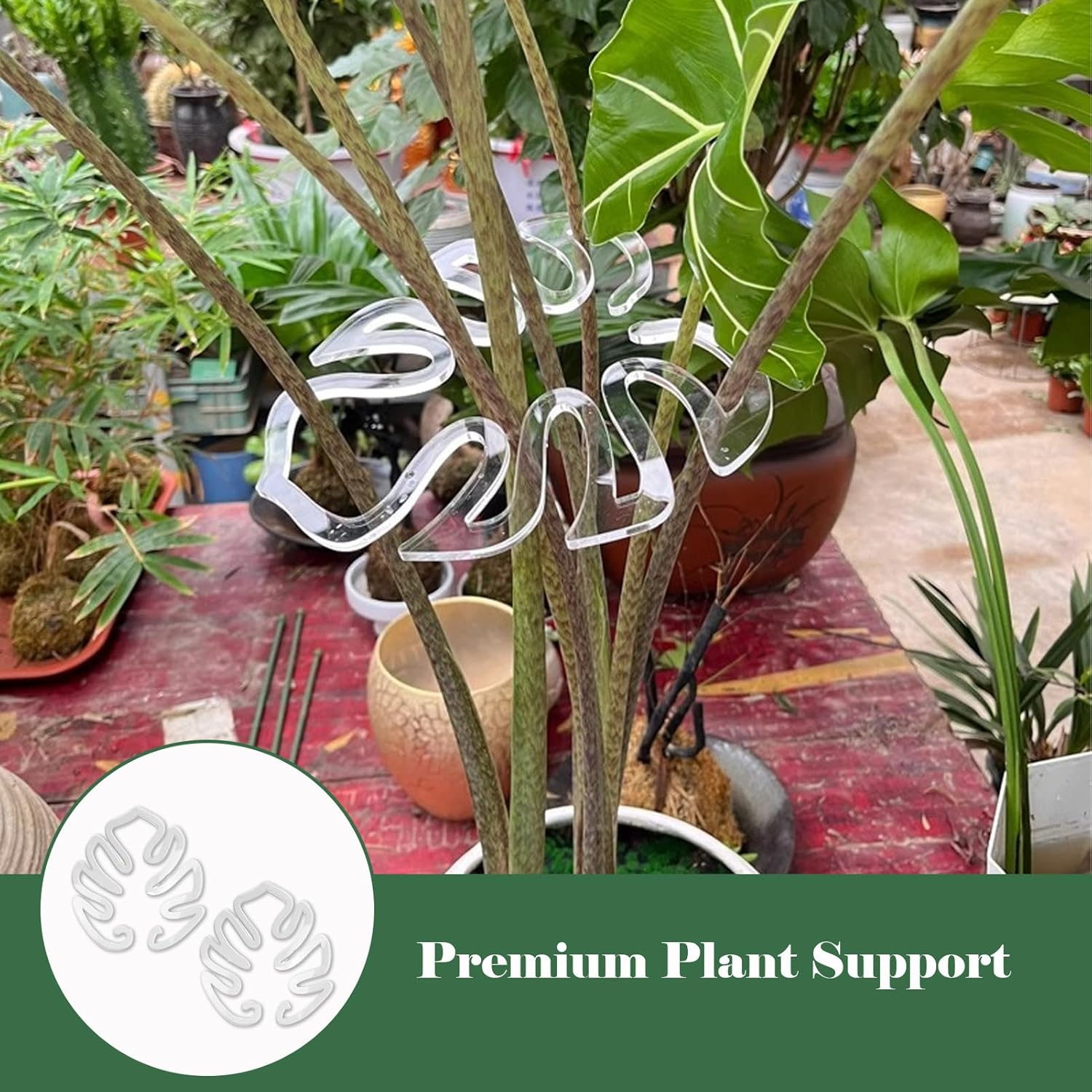 4 Pcs Monstera Plant Support, Wear Resistant Plant Stakes, Plant Stem Support, Unique and Aesthetic Turtle Shell Bamboo Clamp Set Suitable for Flowers, Herbs, Keeps Tame and Growing Vertical image number 4