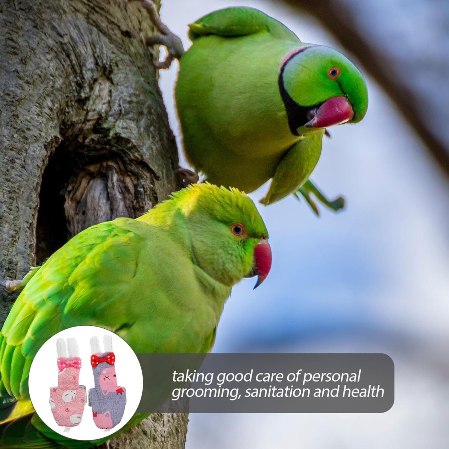 CORHAD Nappies 2Pcs Long Tail Bird Pants Travel image number 2