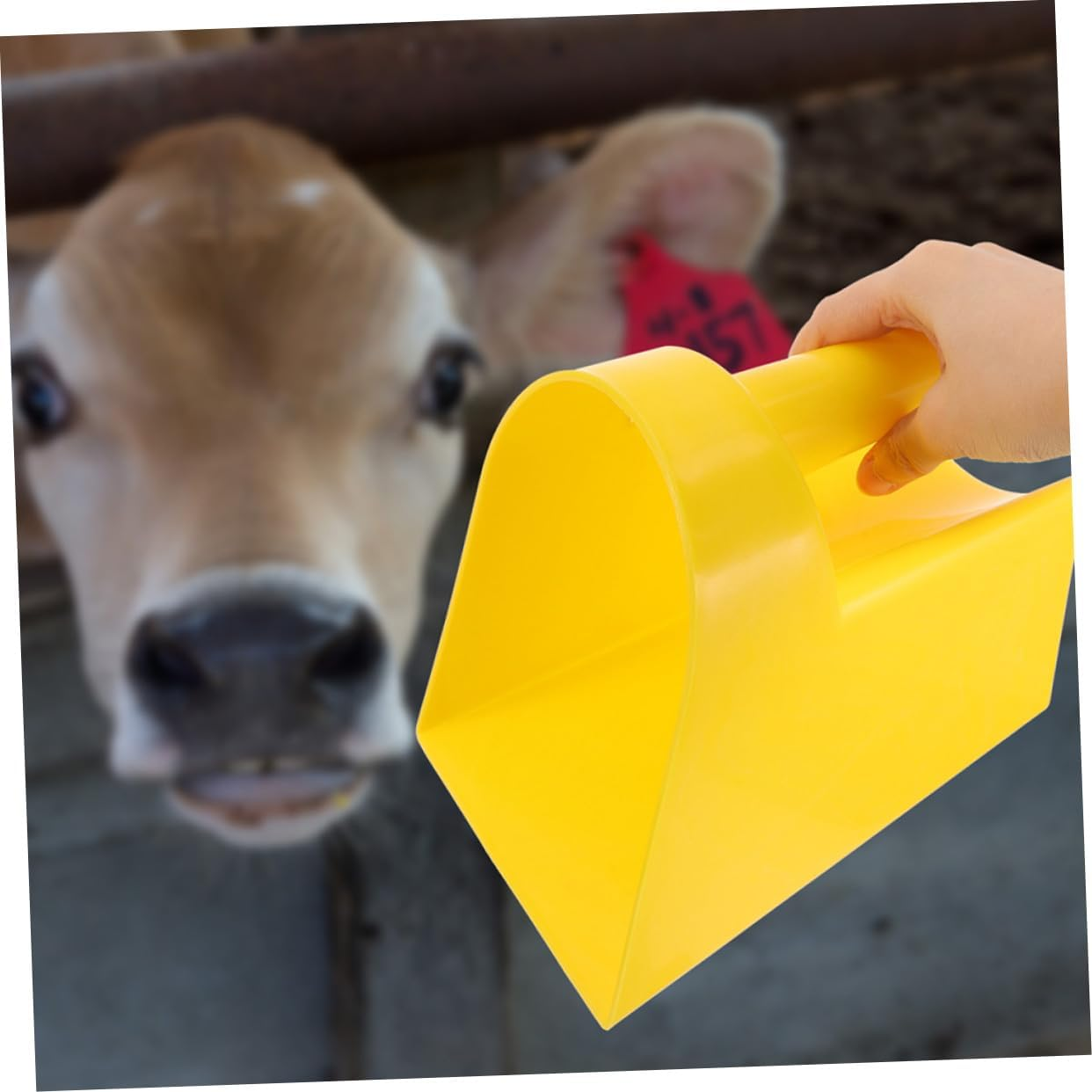 Abaodam Large Plastic Feed Scoop for Livestock Thickened Sturdy Utility Feeding Shovel 2Pcs for Pig Cattle Sheep Poultry Feeding image number 2