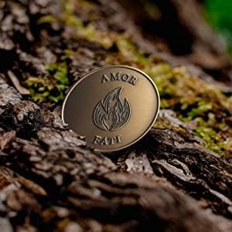 STOIC STORE UK Amor Fati Coin- Brass Reminders for Its Principles - Stoic Coin - Challenge Coin for Daily Stoic Practice and Journaling image number 5