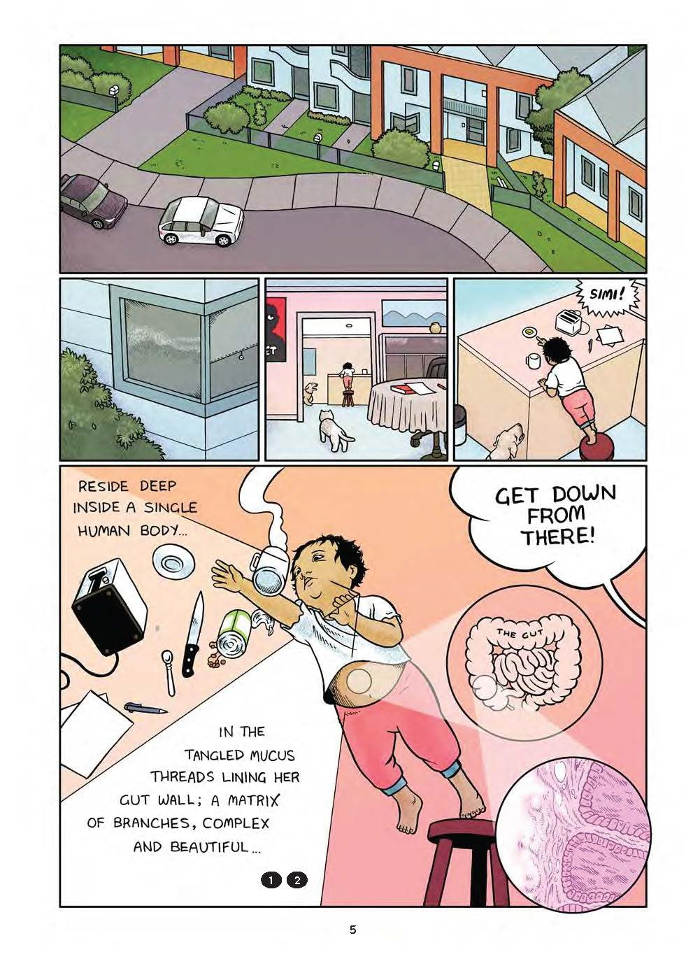 Follow Your Gut: a Story from the Microbes That Make You image number 1