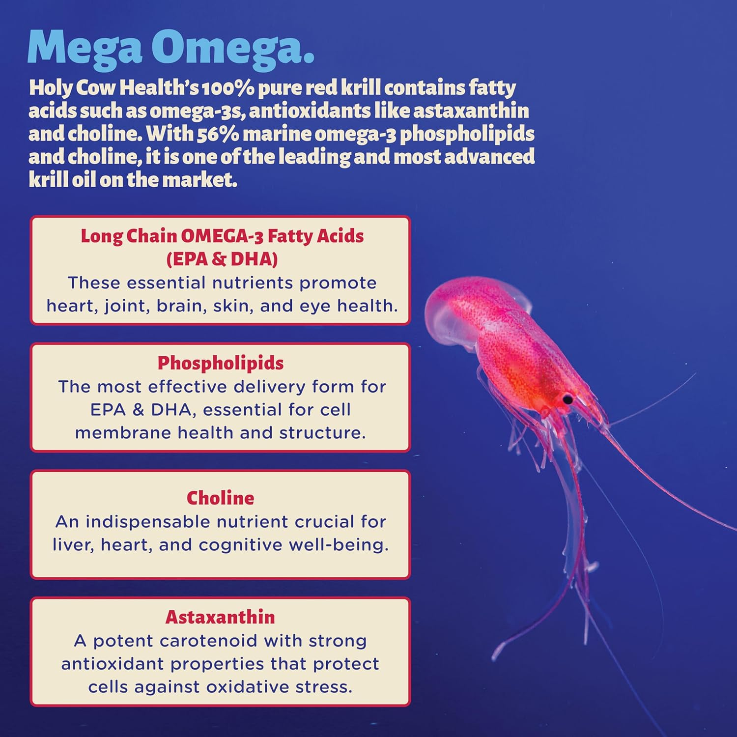 Krill Oil Capsules by Holy Cow Health - Extra Strength 1,500Mg Pure Omega-3 Red Krill Oil from the Antarctic Ocean - Optimised for Cellular Integration image number 3