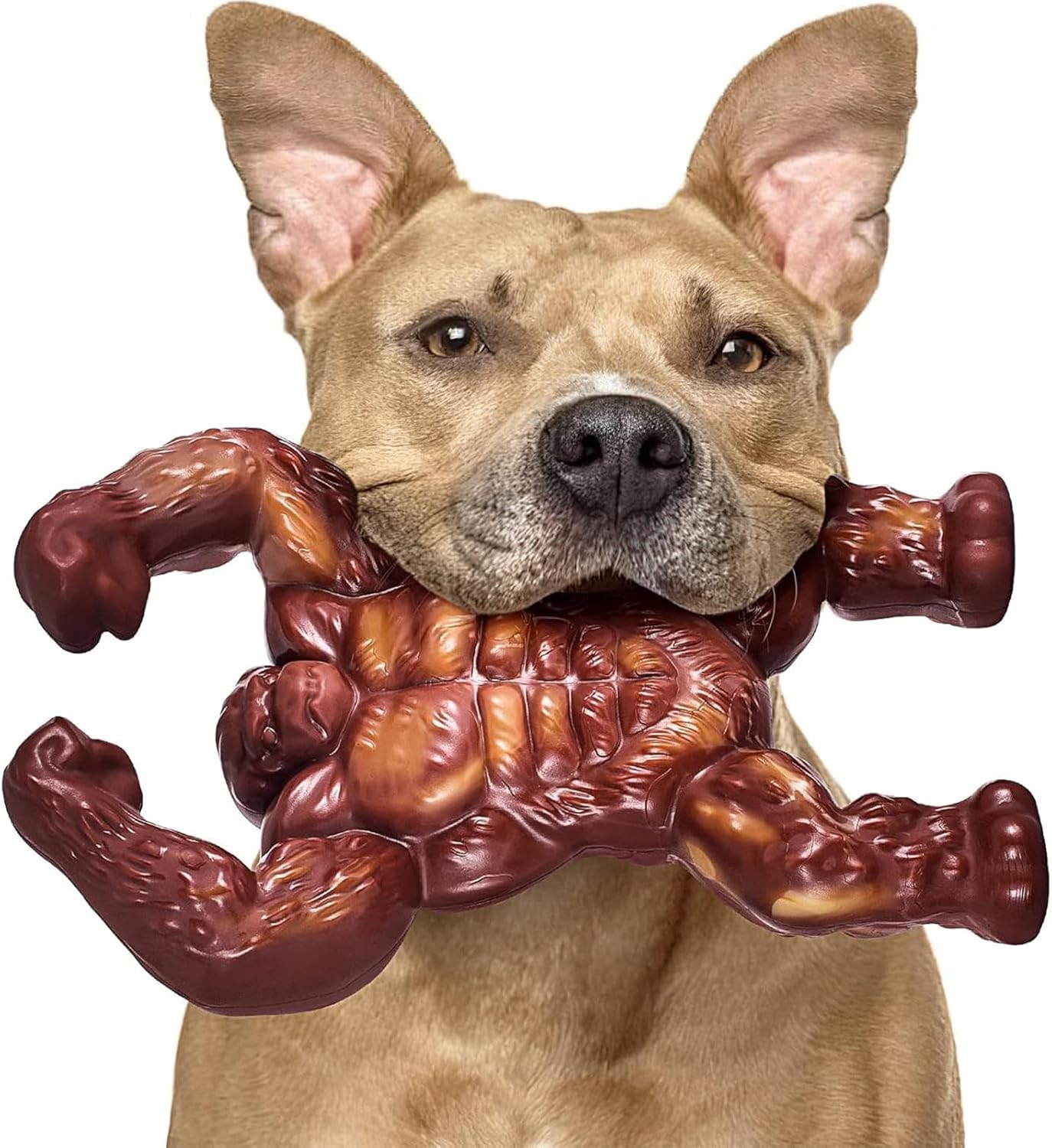 Indestructible Dog Toys, Extreme Tough Puppy Toys,Real Beef Flavored,Do-Gs Bone for Medium/Large Dogs Breed, Gifts for Dogs