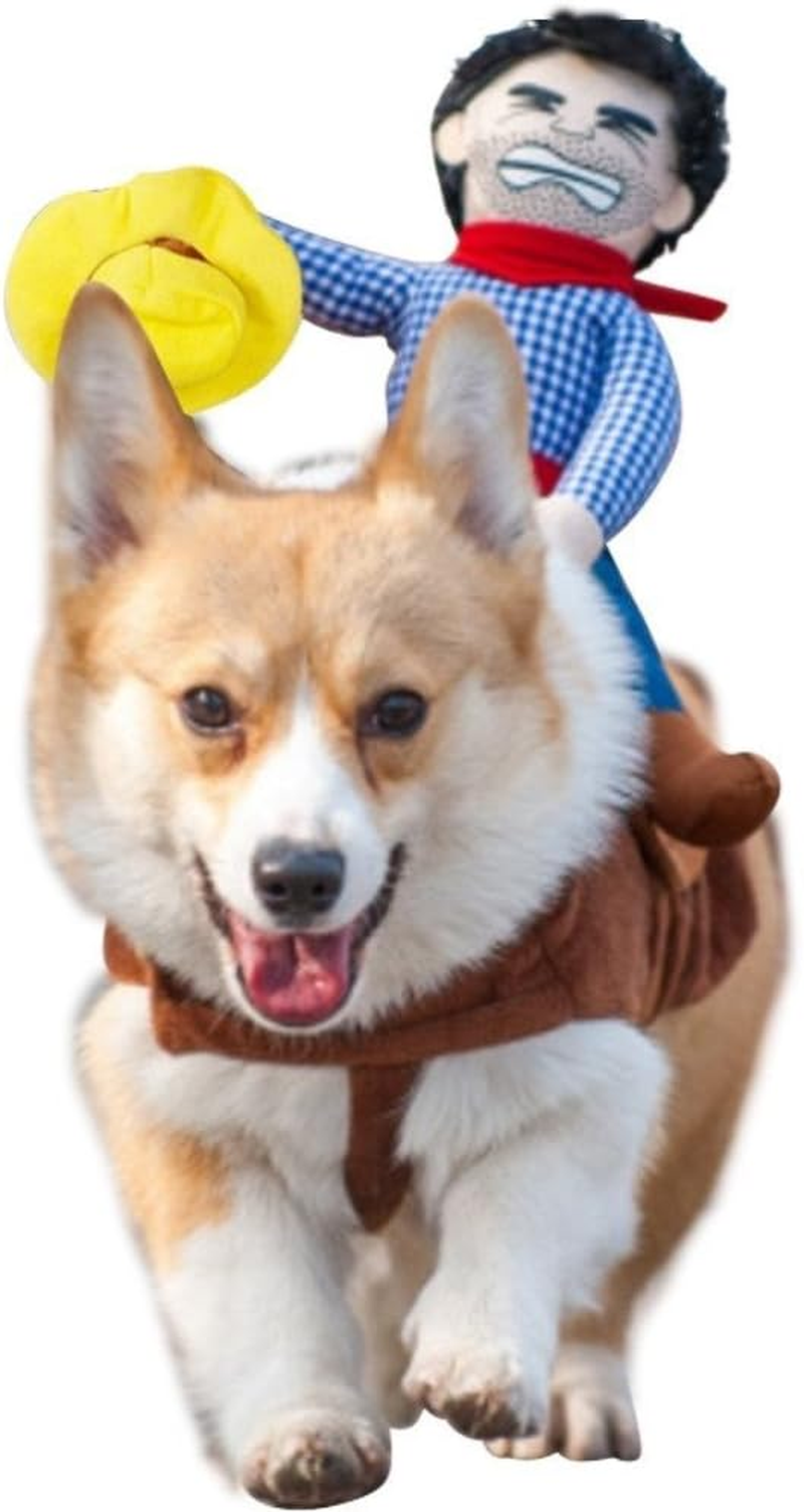 Dog Costume Pet Set Denim Rider Style (Style1, M) image number 3