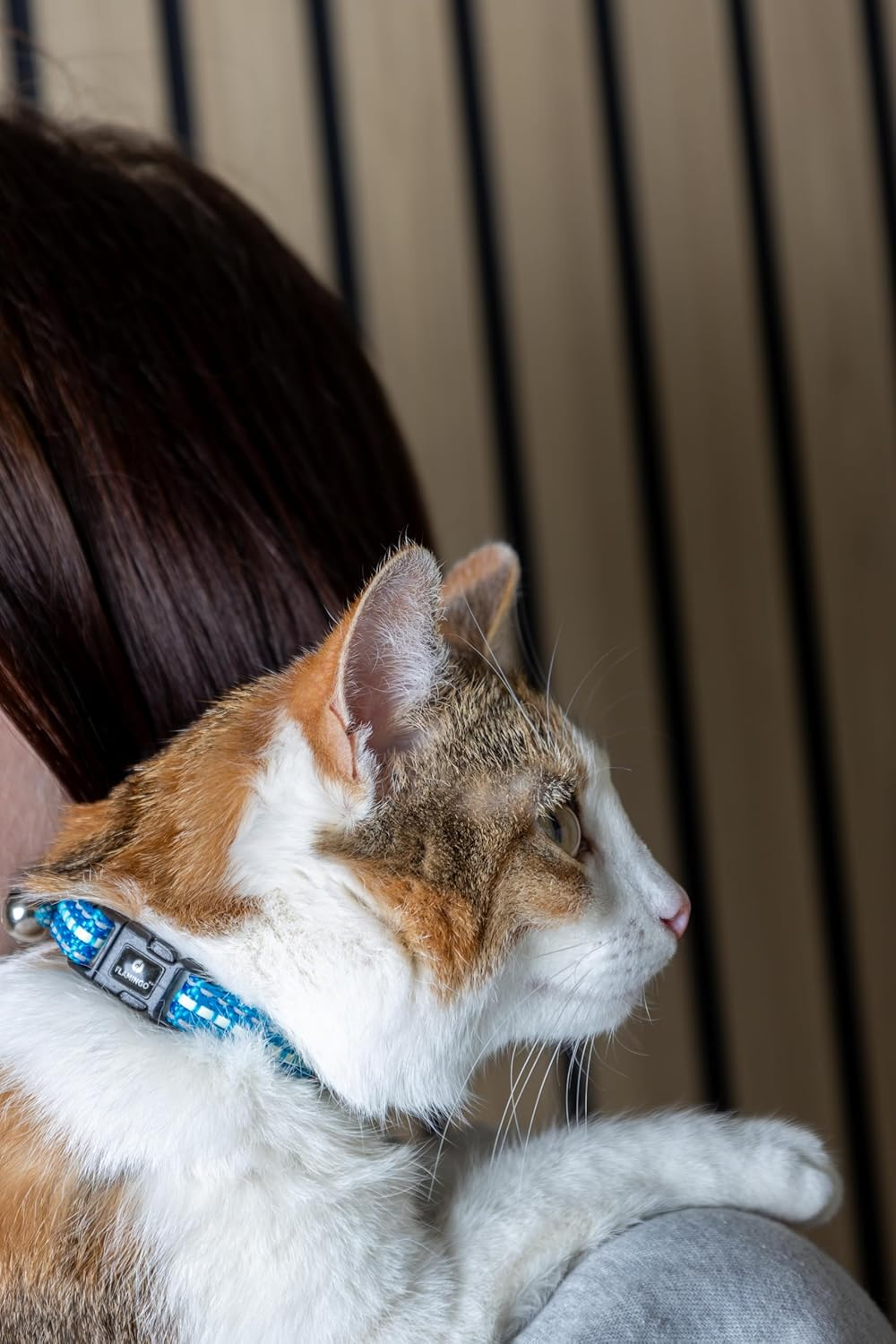 Flamingo Jinxy Cat Collar Light Blue 20-34 Cm 10 Mm image number 1