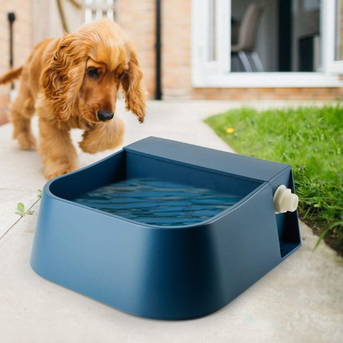 PETLESO Automatic Dog Water Dispenser, 2L Dog Water Bowl Automatic Waterer for Dogs Cats Chicken Birds Goats, Outdoor Animals Refill Pet Water Trough, Blue image number 1
