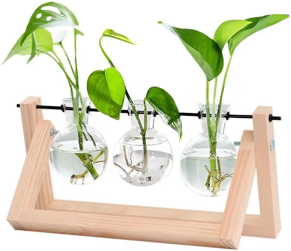 Plant Terrarium Wooden Stand Propagation Stations Glass Hydroponics Bulb Vase Desk Plants Holder for Gardening Office Home Decor 3 Glass Vase